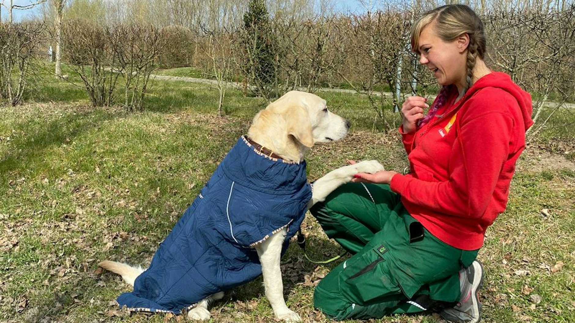 Milow mit einer der Pflegerinnen aus dem Tierheim Berlin. Wer gibt dem Labrador eine neue Chance?