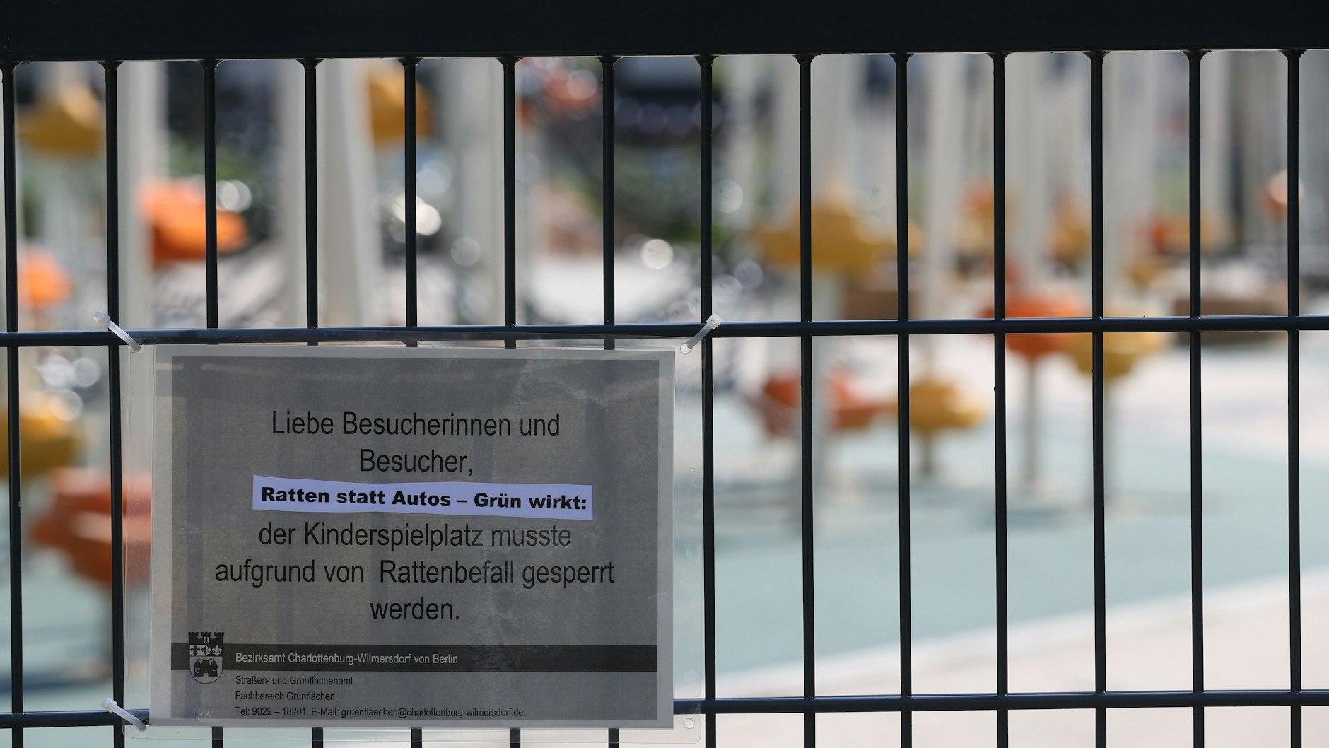 Ratten polarisieren. Die einen verdammen sie, die anderen fordern einen umweltverträglicheren Umgang mit ihnen. 