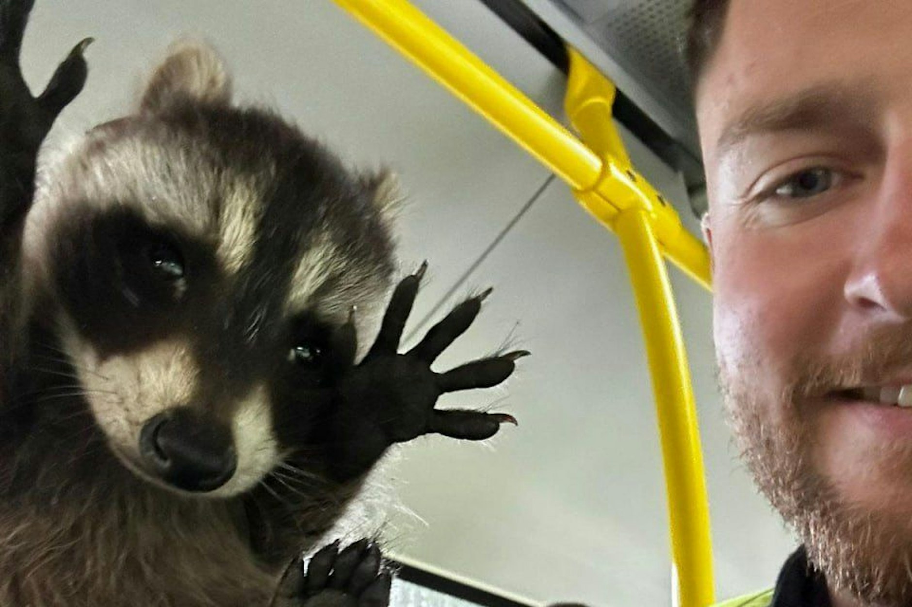 Ein Polizist mit dem Schwarzfahrer: Der Waschbär wurde auf frischer Tat ertappt.