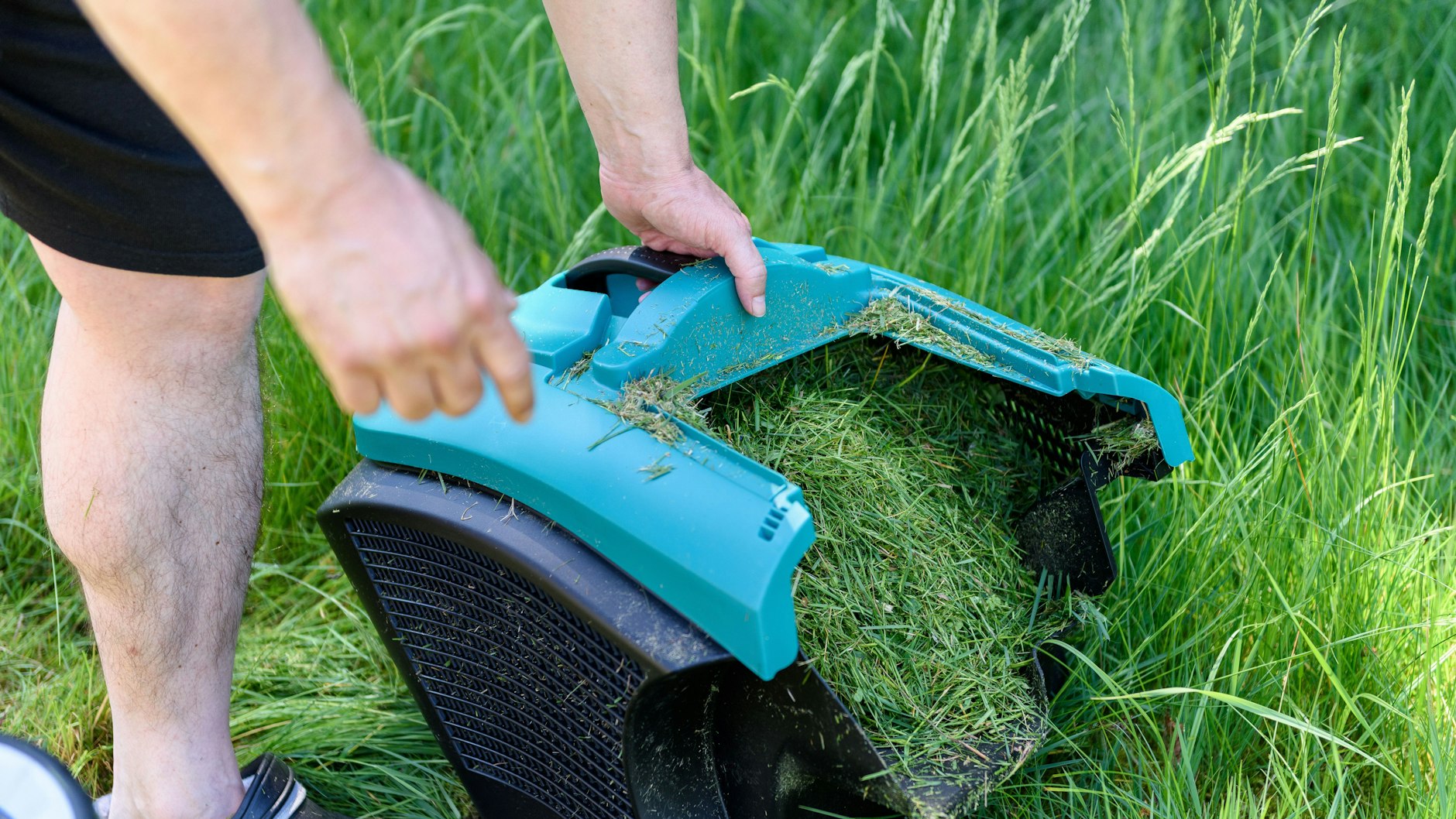 Ist das Gras feucht, sollte der Fangkorb des Rasenmähers öfter geleert werden. Feuchten Rasenschnitt nicht (!) als Mulch liegen lassen. Fäulnisgefahr!