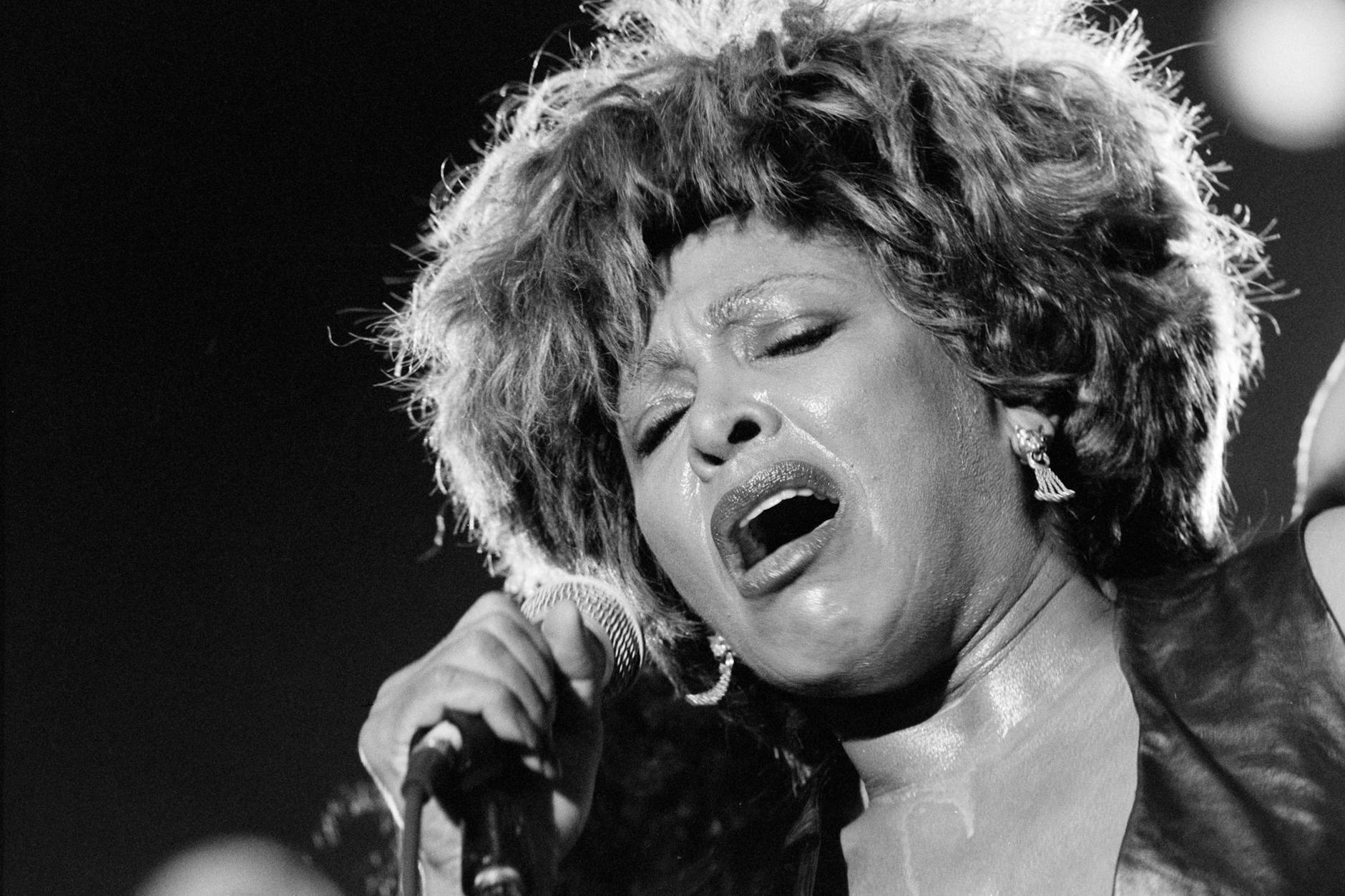 La industria de la música está de luto por la pérdida de la cantante de rock Tina Turner. & nbsp; & nbsp;