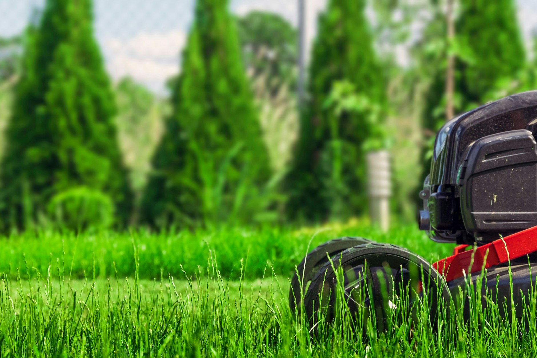 Ist der Rasen feucht, sollte man die Schnitthöhe beim Rasenmäher höher einstellen. Wichtig: Die Messer müssen scharf sein.