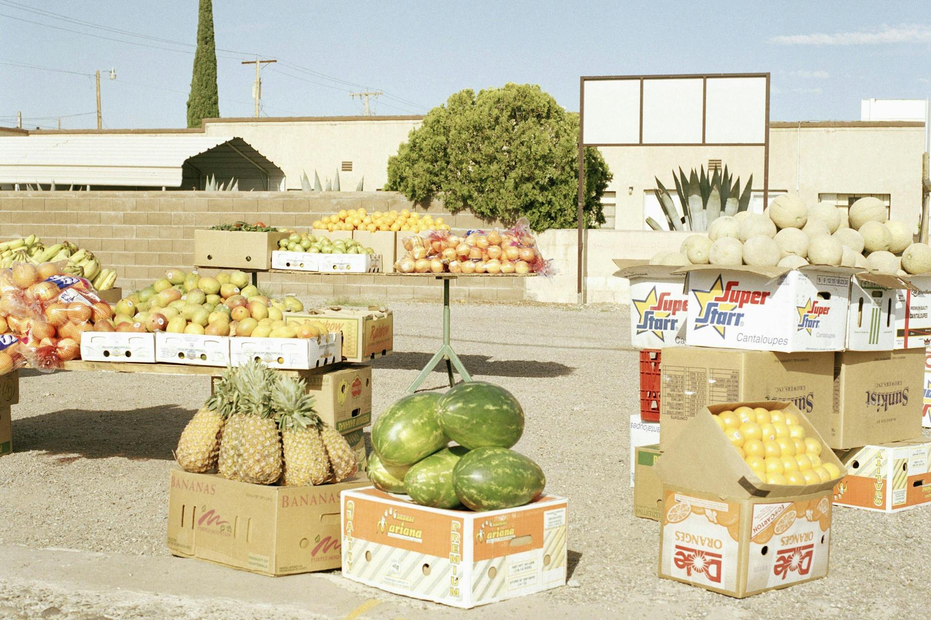 Besonders beliebt waren Melonen im Weströmischen Reich: ein Früchtemarkt am Straßenrand in Italien.