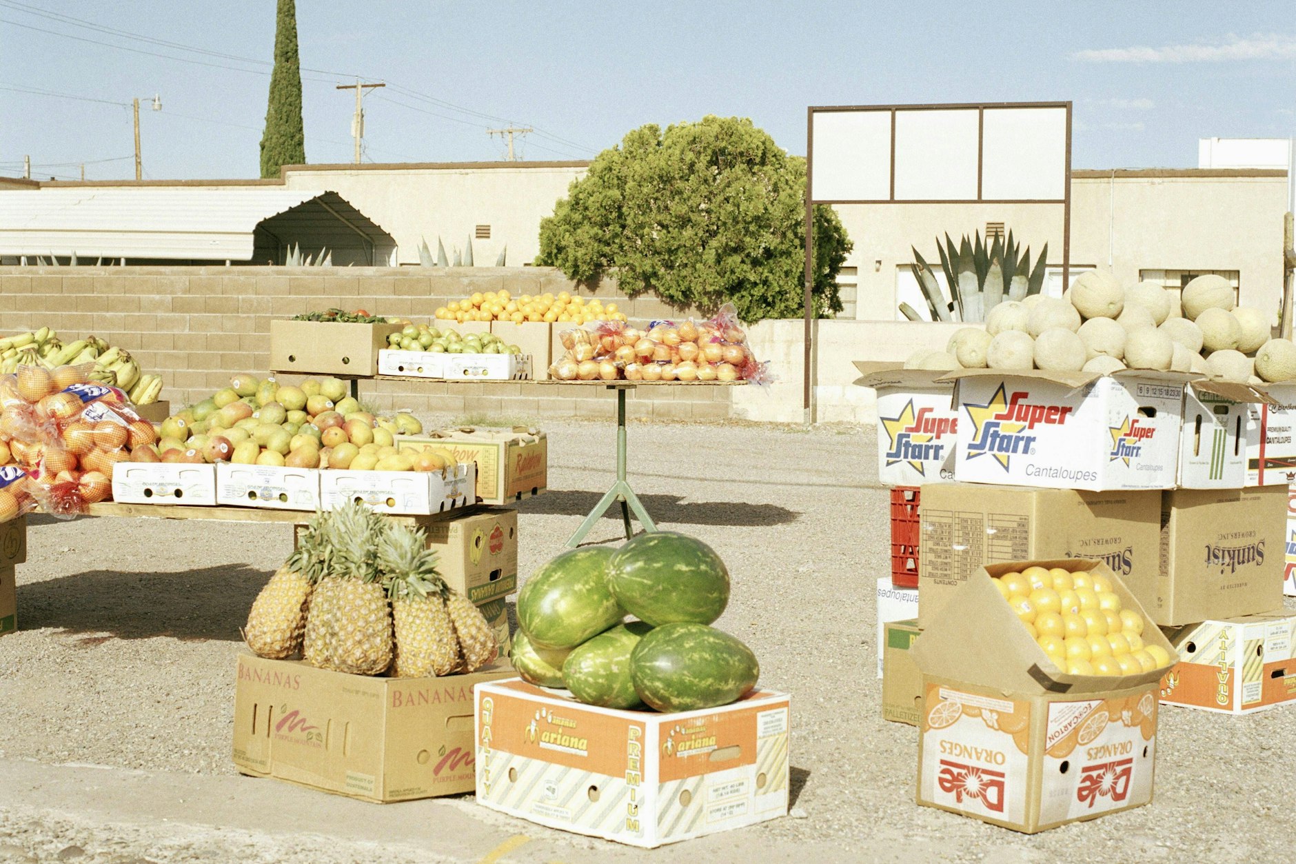 Besonders beliebt waren Melonen im Weströmischen Reich: ein Früchtemarkt am Straßenrand in Italien.