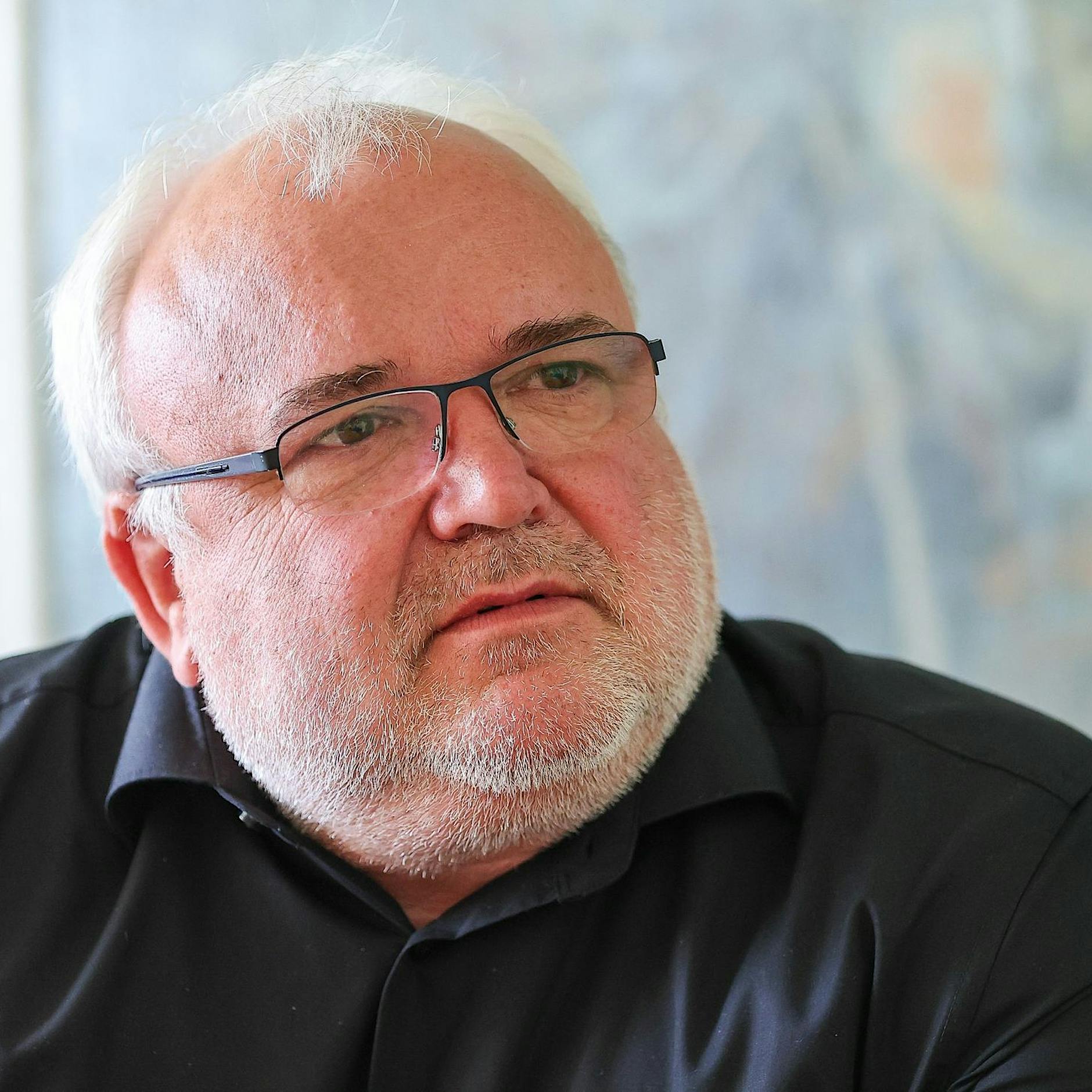 Kritik nach Verfütterung von Zebra an Löwen in Zoo