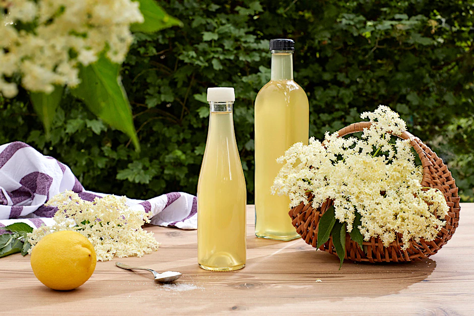 Holunderblütensaft ist gesund ein das perfekte Sommergetränk.