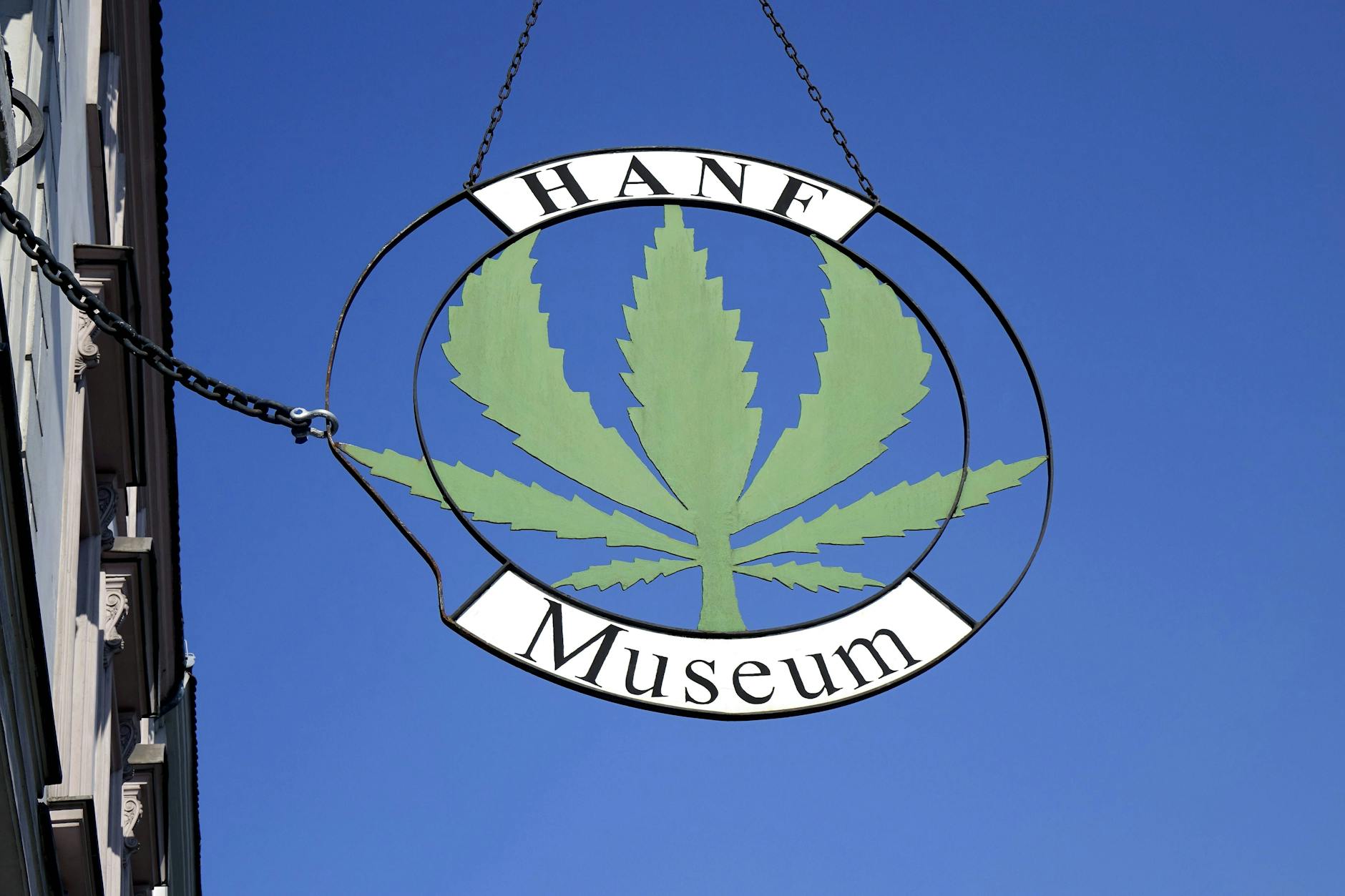 Hanf ist mehr als Kiffen: das Museum zur Pflanze in Berlin.