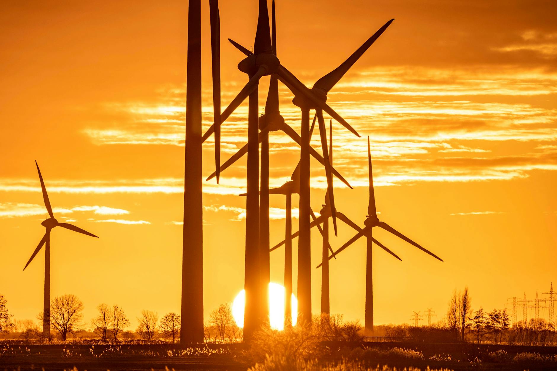 Windräder sind nicht bei allen beliebt.