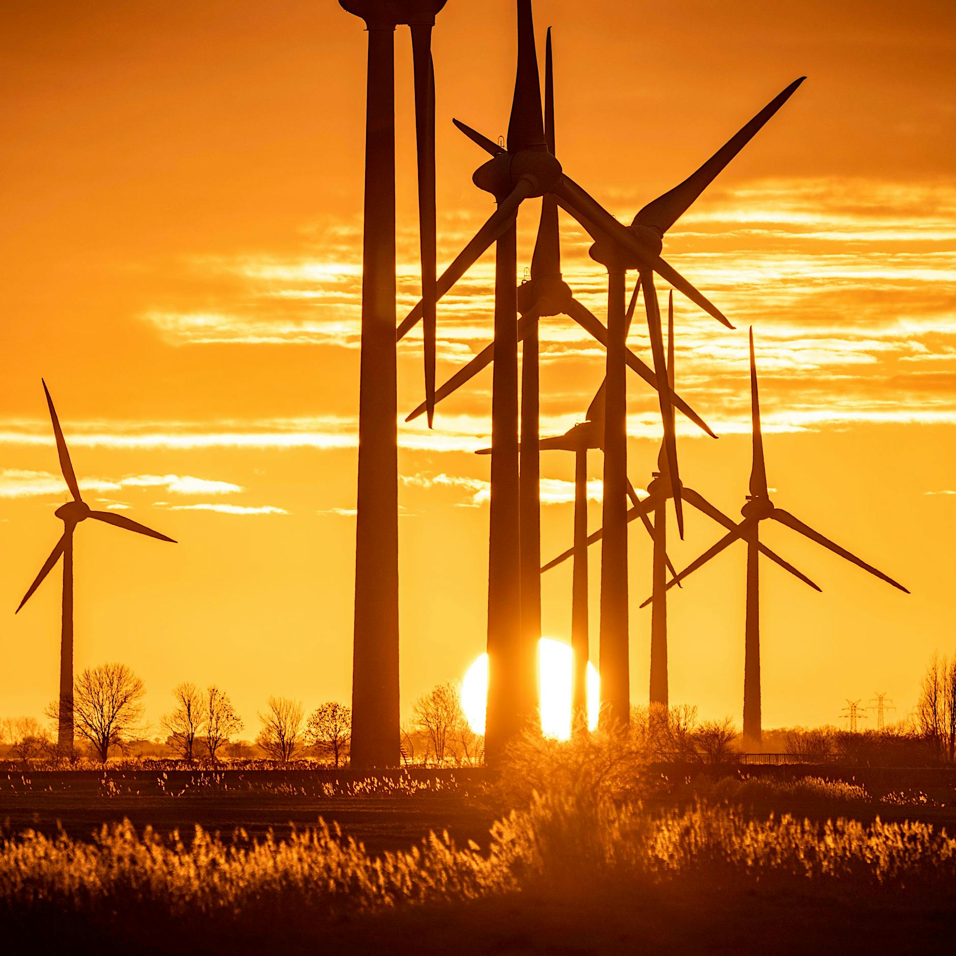 Absurd: Brandenburg hat den höchsten Strompreis – wegen der vielen Windräder