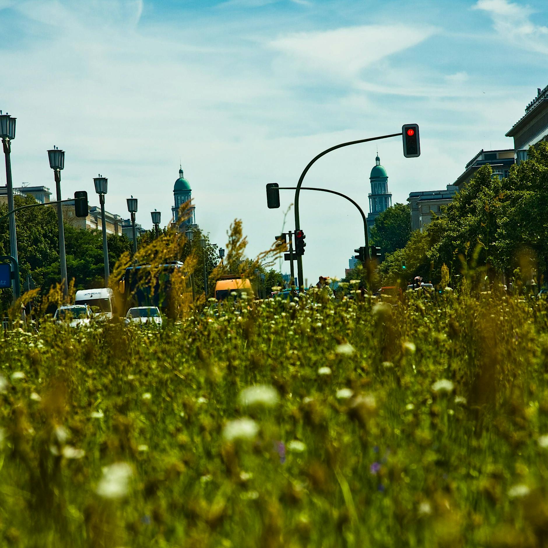 Thilo Mischke: Warum mich eine Wiese am Frankfurter Tor beruhigt