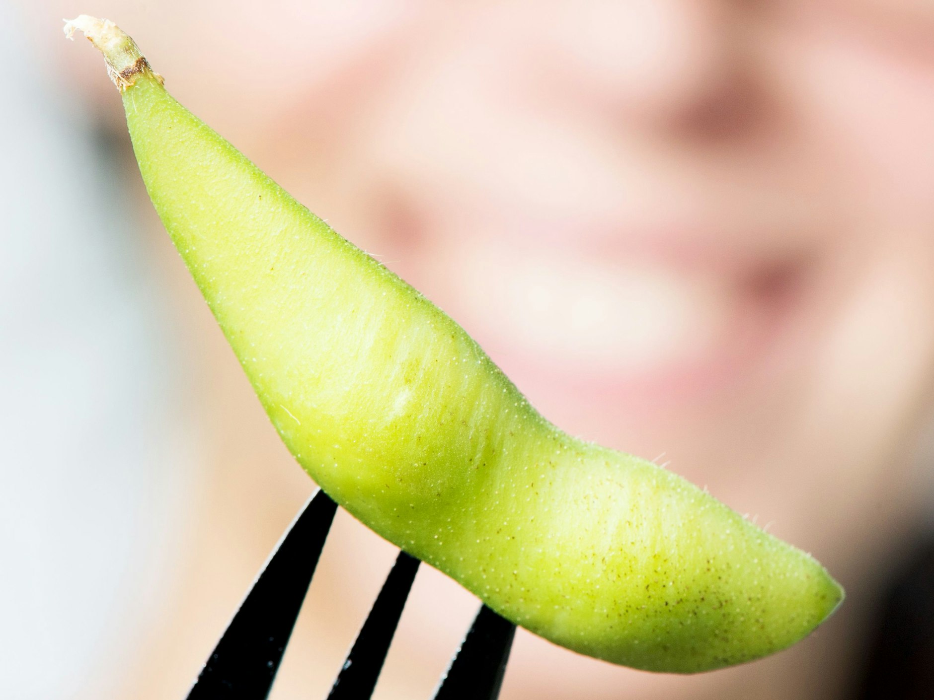Junge Sojabohnen, Edamame genannt, lassen sich schnell und unkompliziert als Snack zubereiten.