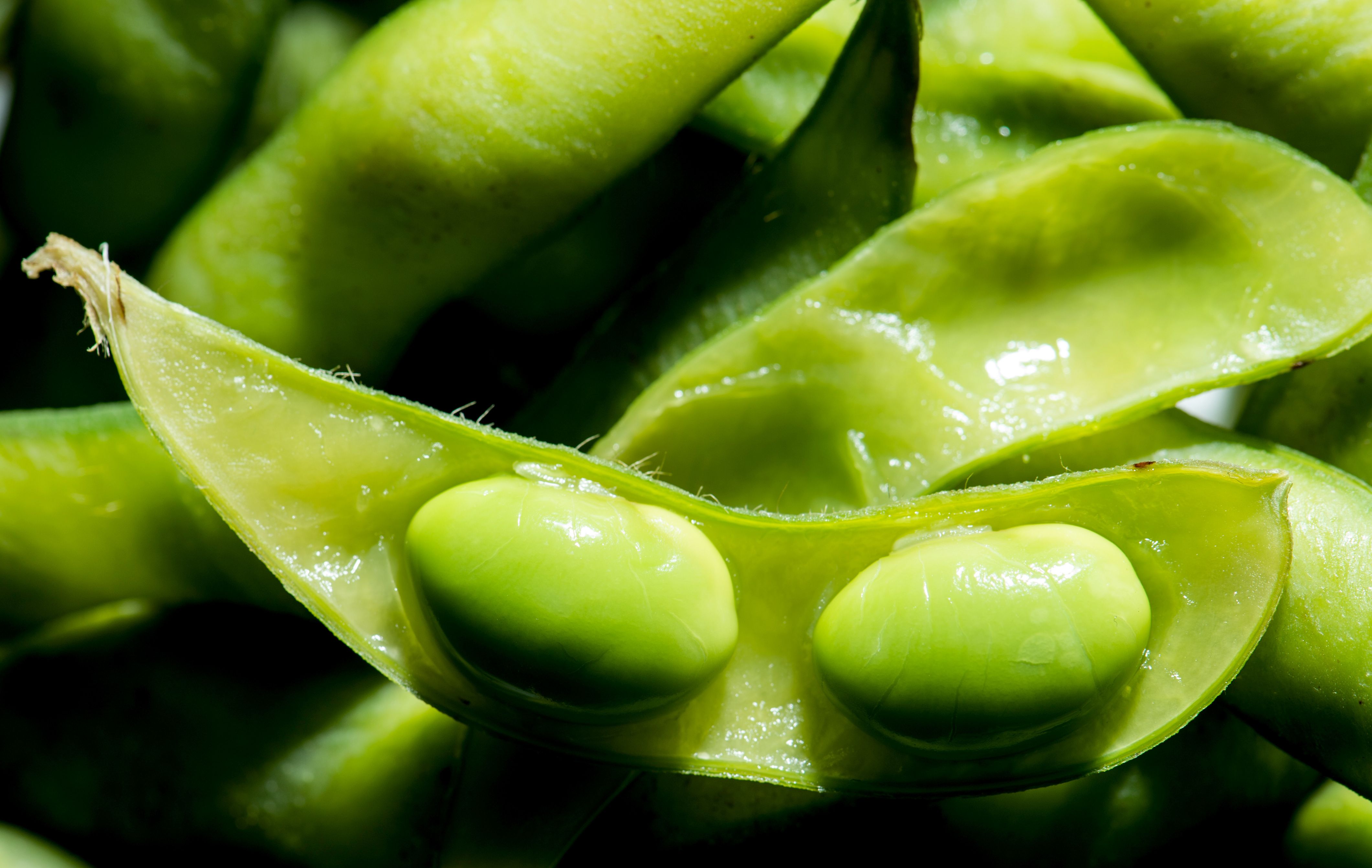 Image - Darum sind Edamame so gesund