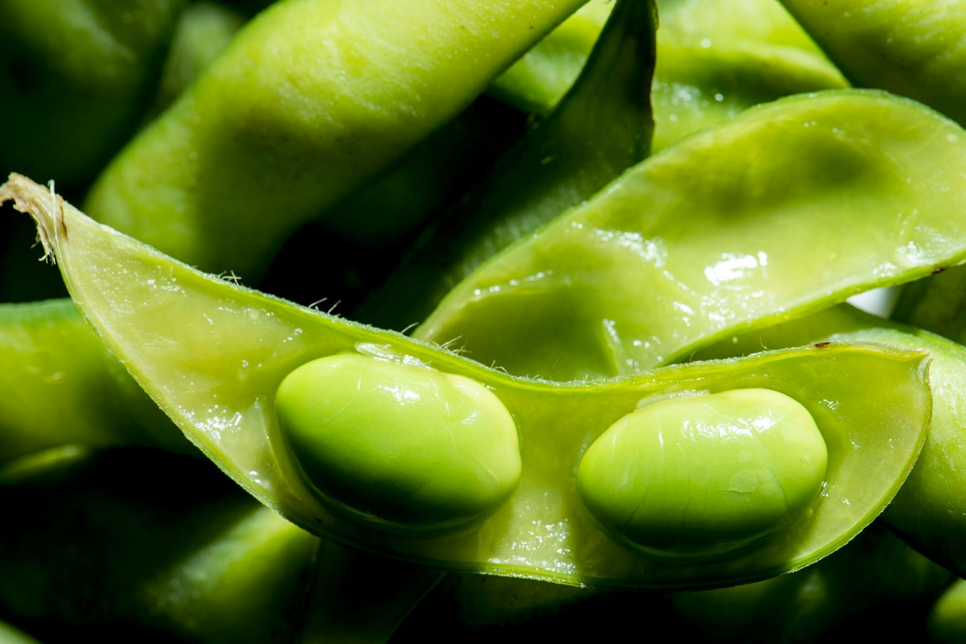 Edamame sind unreif geerntete Sojabohnen. Sie schmecken leicht nussig.