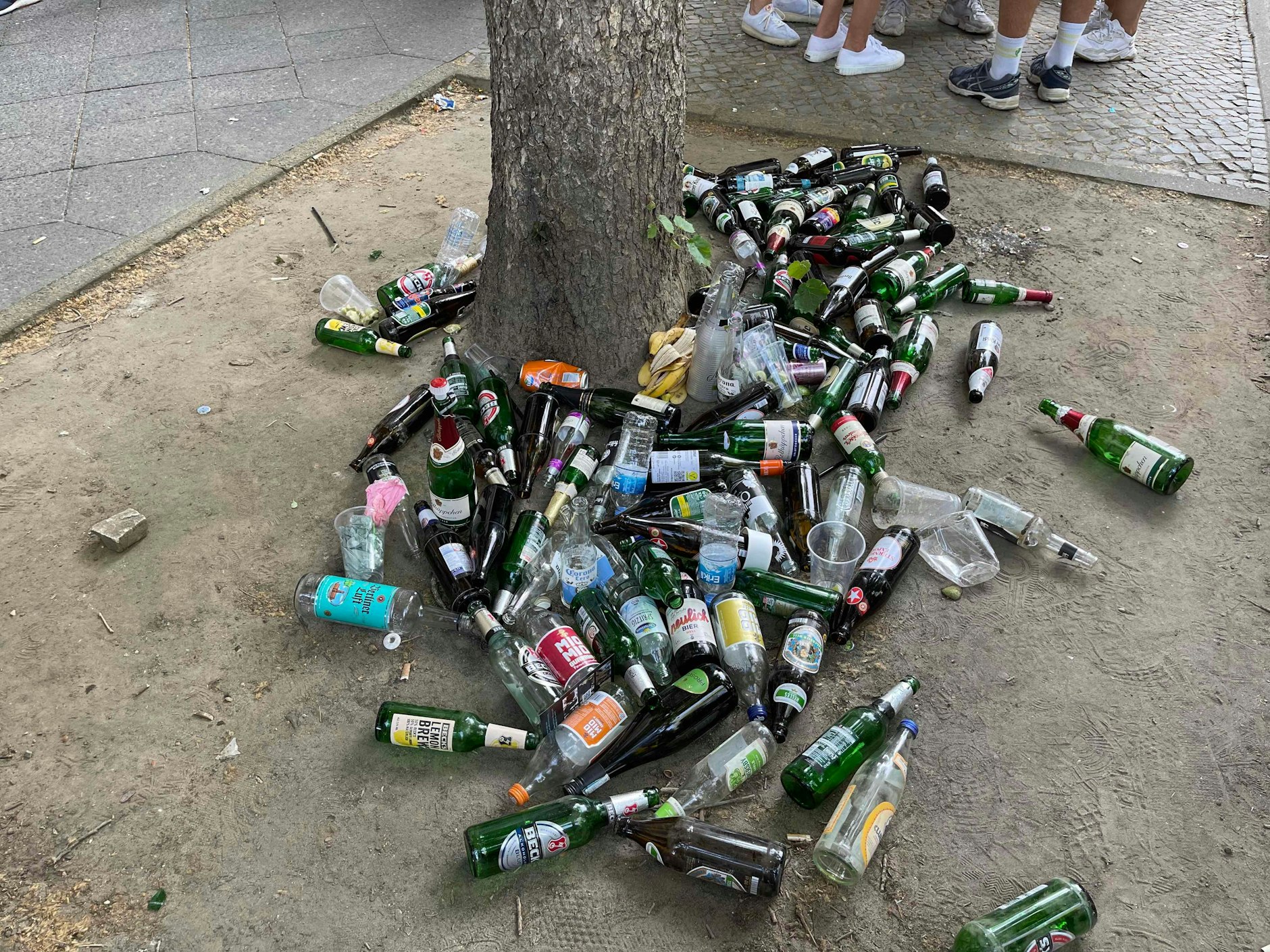 Die Bäume mussten einiges aushalten an diesem Wochenende.