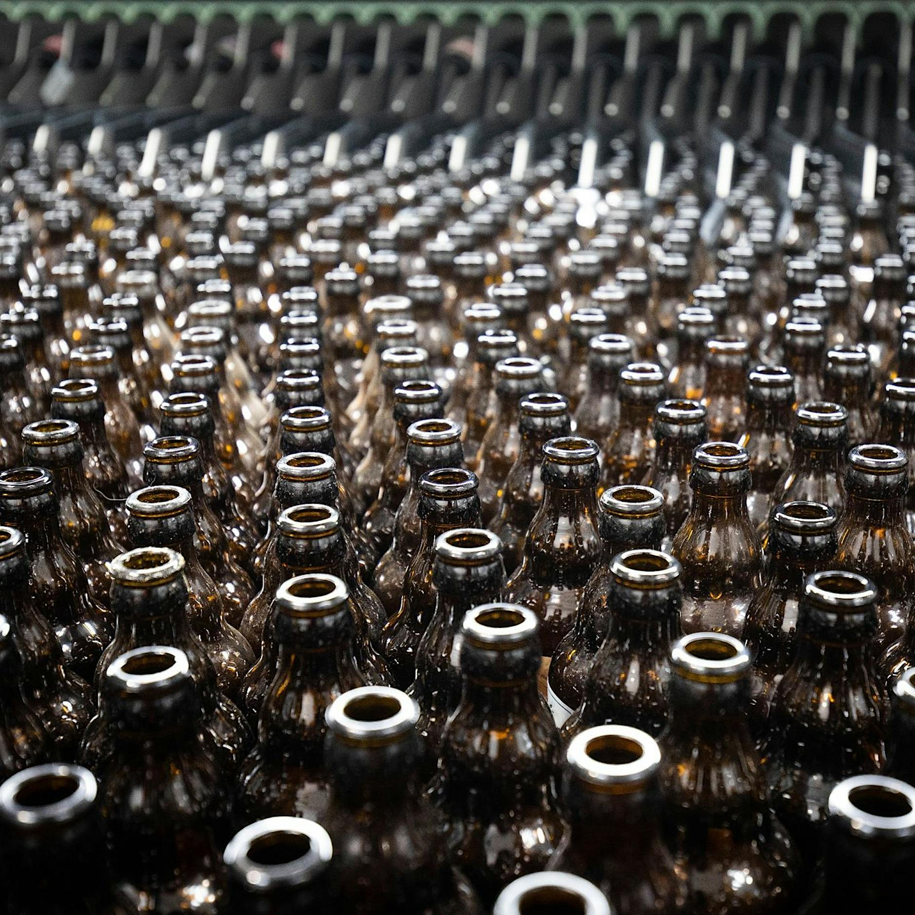 „Irrsinn“: EU-Gesetz könnte Vernichtung von Milliarden Bierflaschen bedeuten