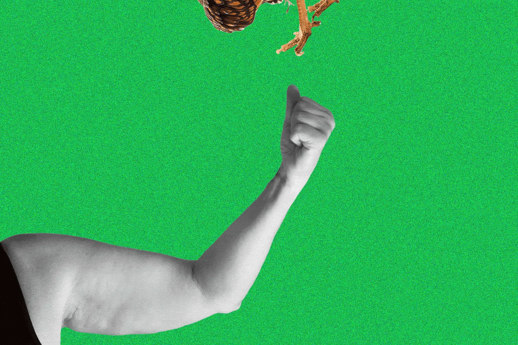 Mit zunehmendem Alter verliert die Haut an Elastizität. Aber man kann gegensteuern.