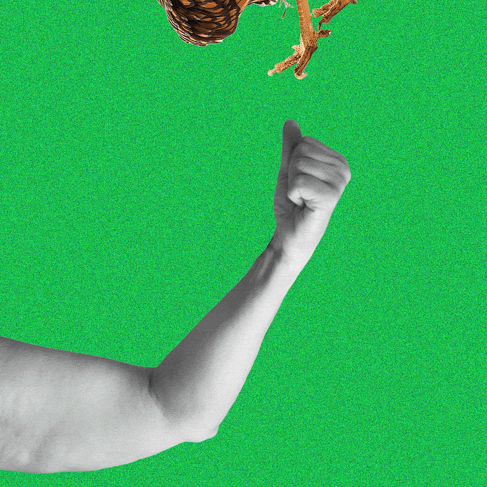 Winkearme: Woher kommt die schlaffe Haut am Oberarm? Wie kriegt man sie weg?