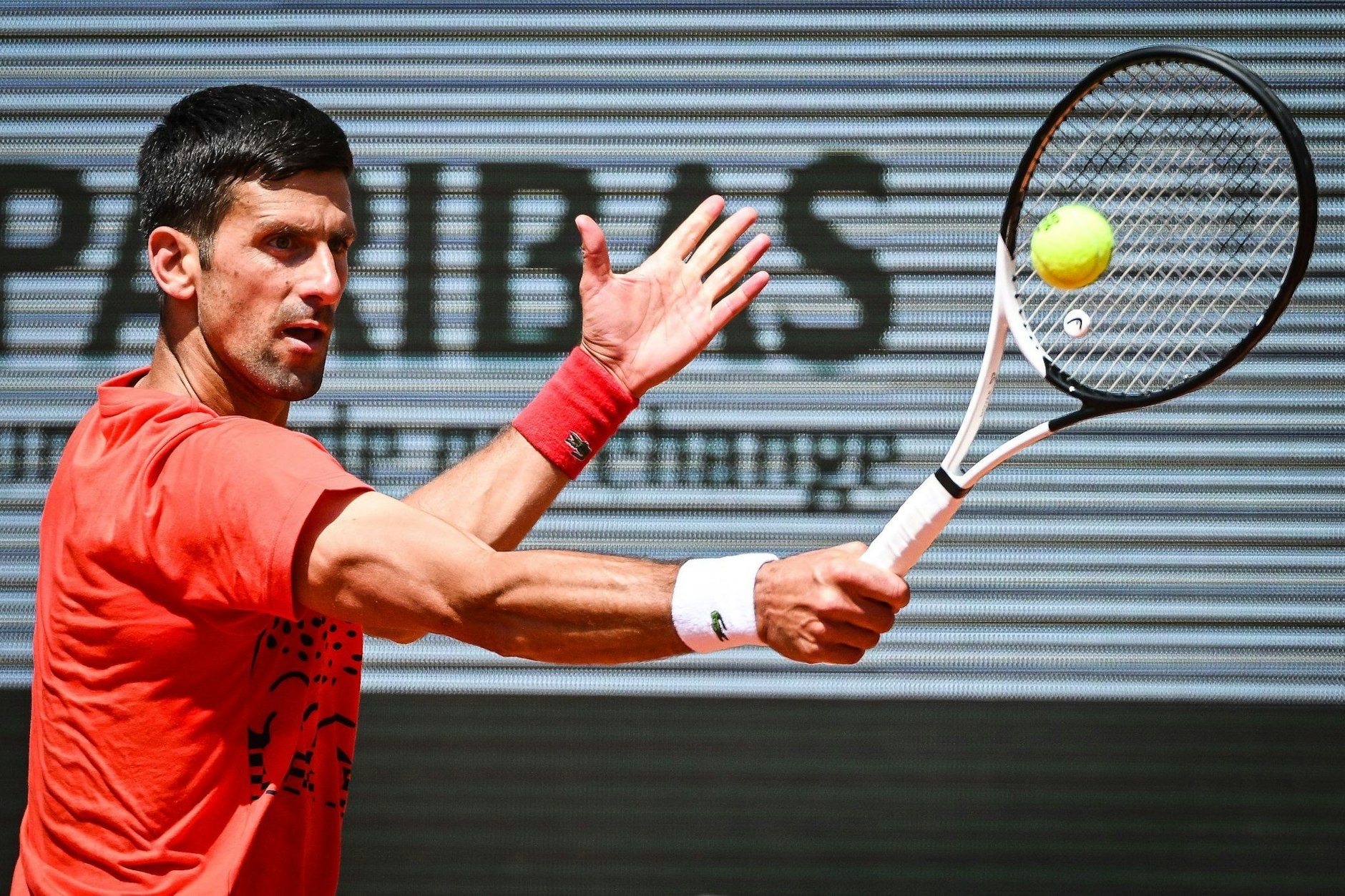 DjokovicAussagen zum Kosovo Frankreichs Sportministerin schaltet sich ein