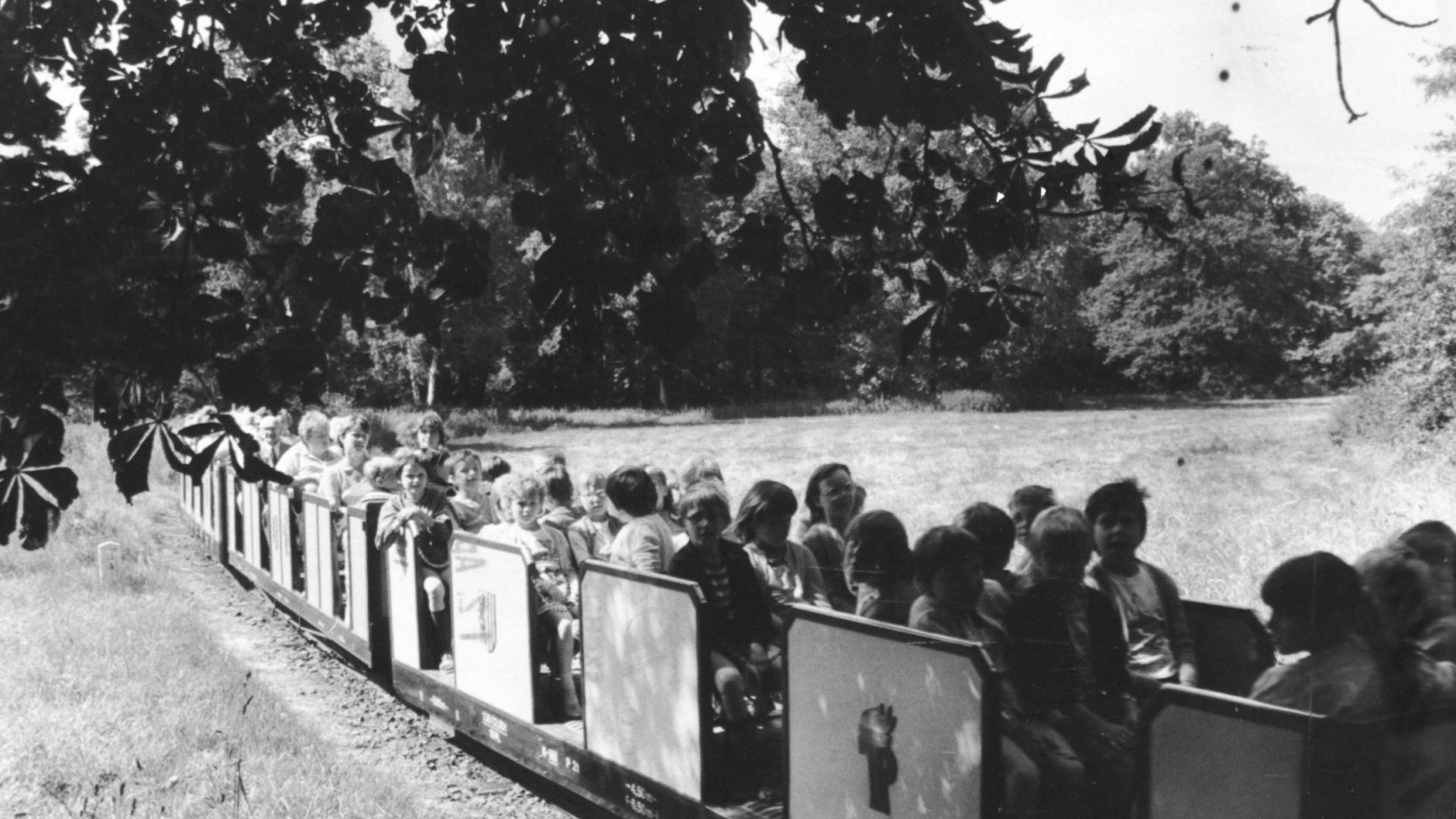 Im Großen Garten in Dresden geht die Pioniereisenbahn am Kindertag in Betrieb. In der DDR wurde der Kindertag ausgiebig gefeiert. 
