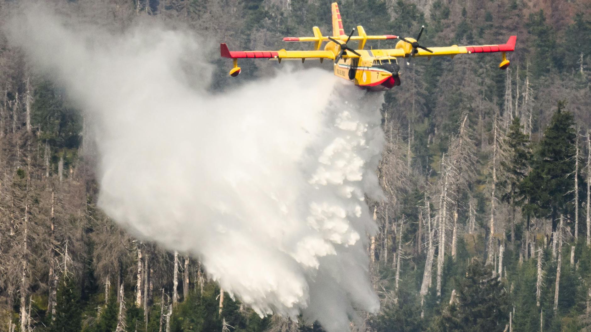 Ein ialienisches Löschflugzeug bekämpft bei Braunlage in Niedersachsen im vergangenen Jahr einen Waldbrand am Brocken. (Archivfoto) 