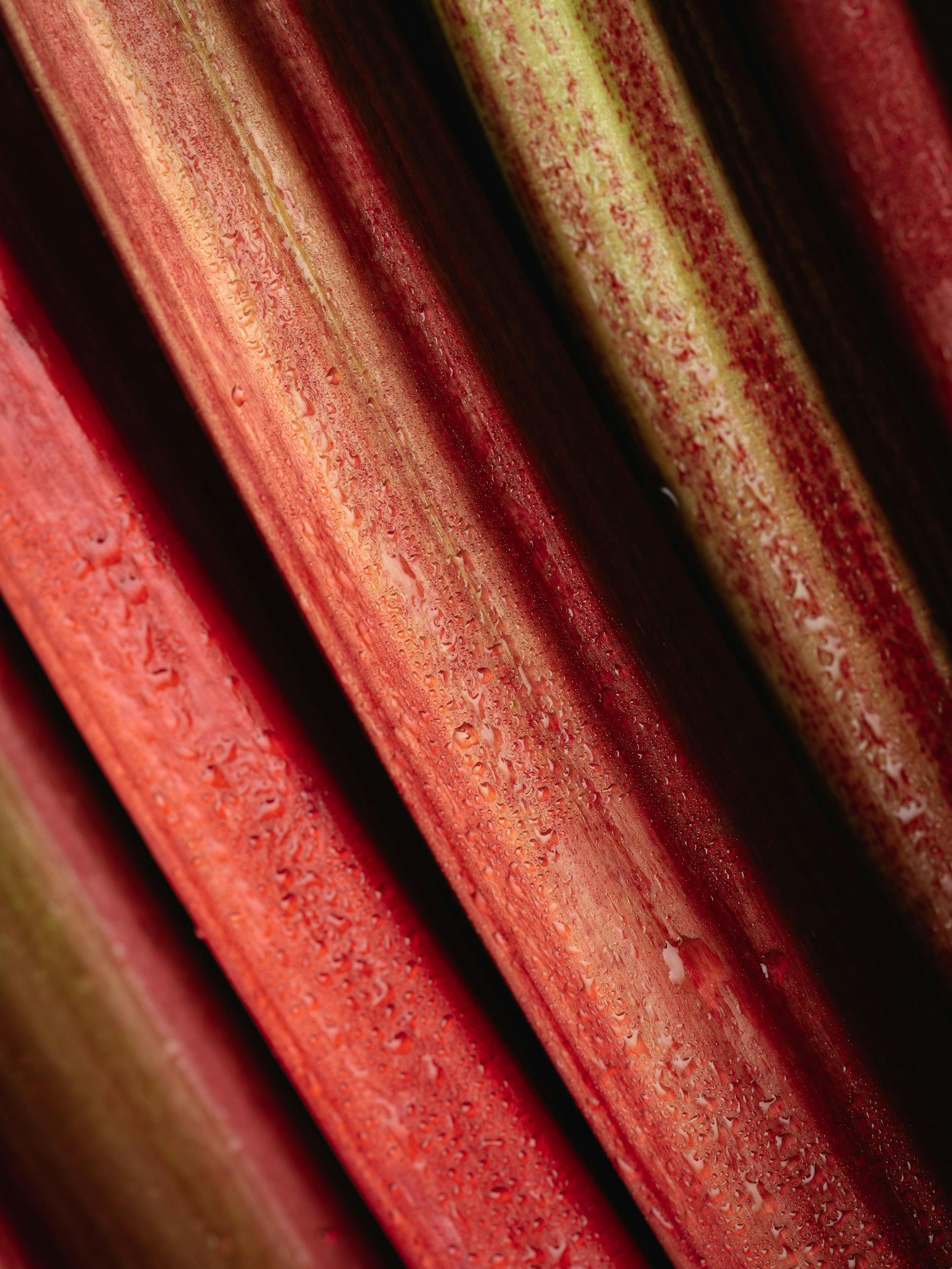 Was machen wir mit all den sauren Stangen? Am besten Rhabarber-Chutney!