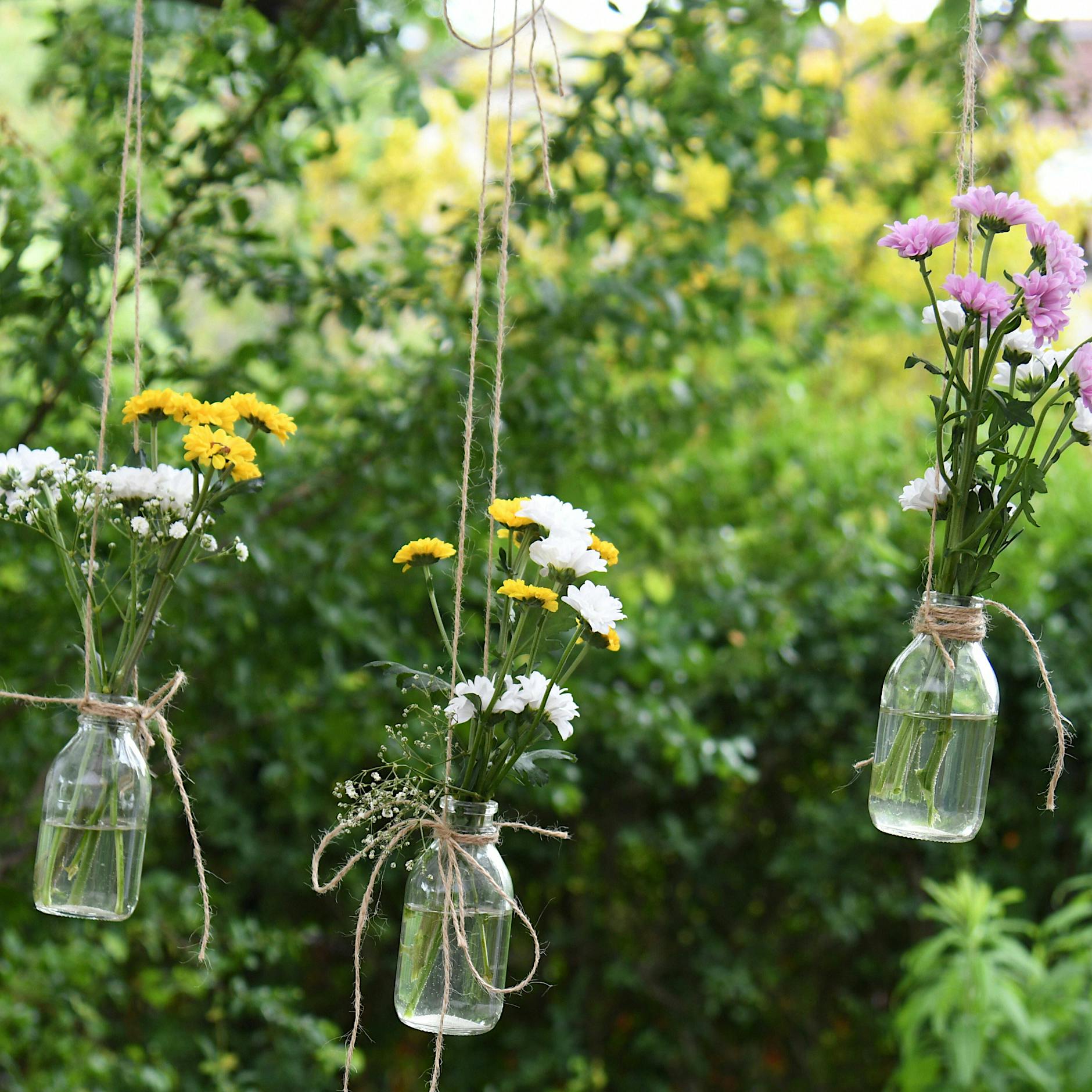 Berlin und seine Kleingärten: Warum die Hauptstadt deutschlandweit nur Mittelmaß ist