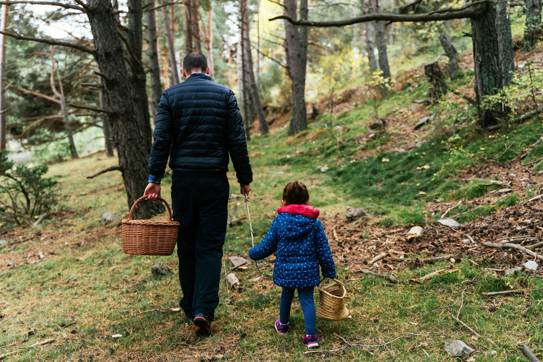 Vater und Tochter auf Pilzsuche