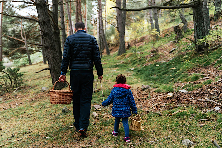 Vater und Tochter auf Pilzsuche