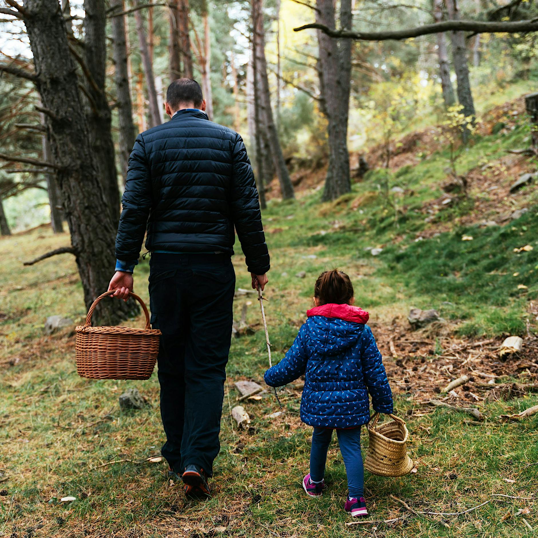 Von Tierarten und Pflanzenwelten: Die Naturvergessenheit der jungen Generation