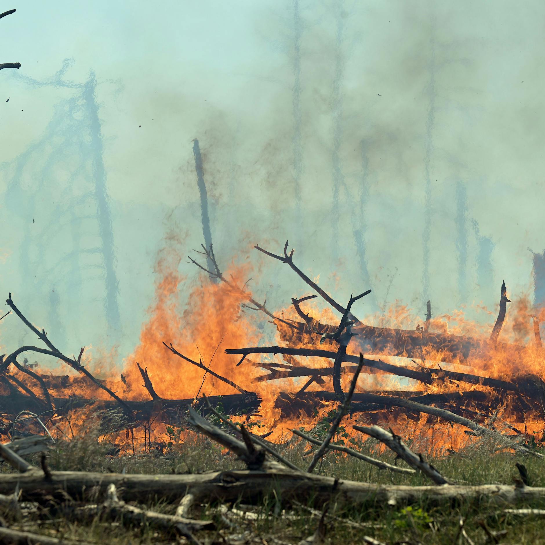 45 Hektar Rauch und Flammen - Waldbrand wird immer größer