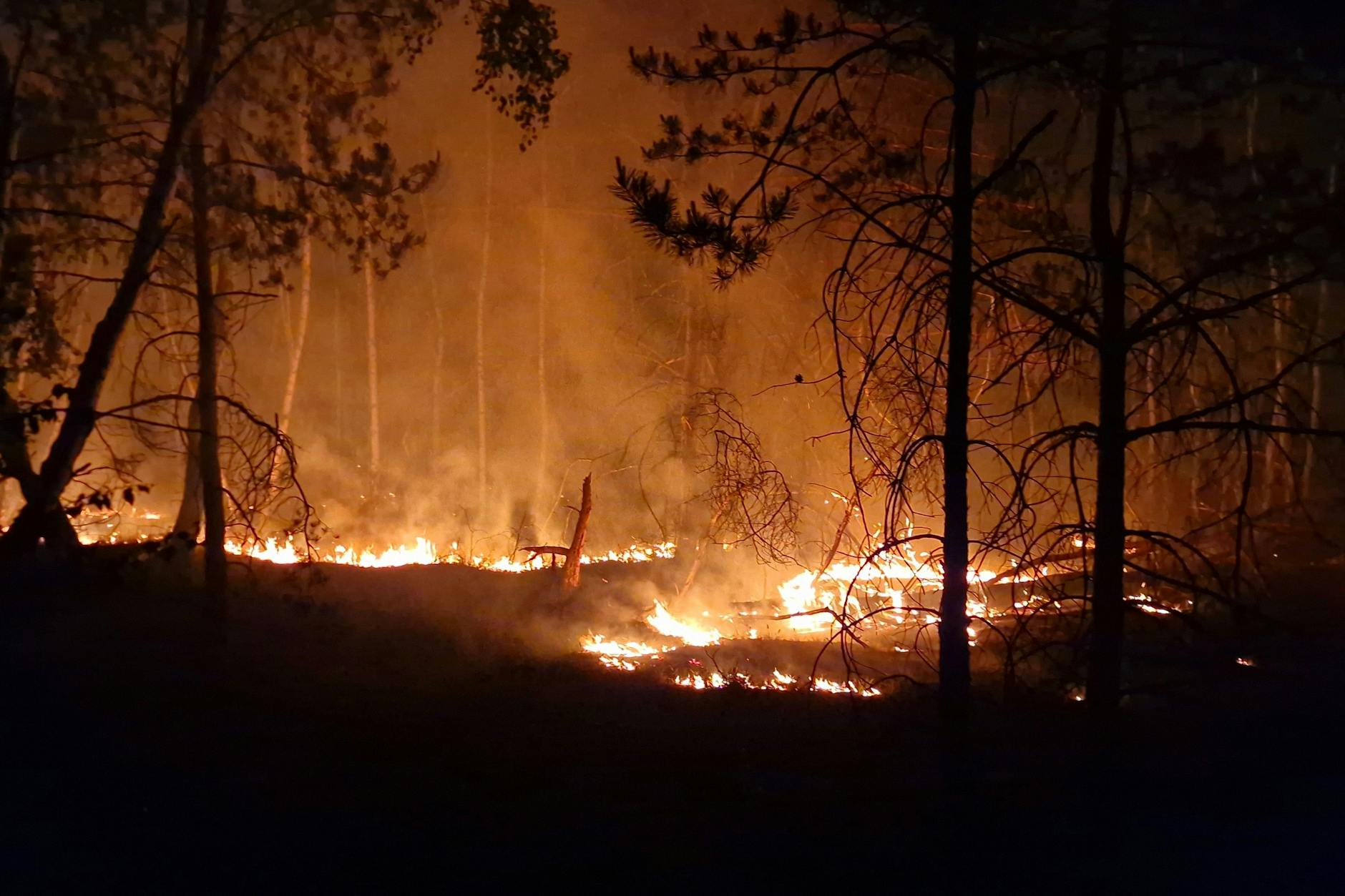 Flammen lodern beim Waldbrand auf dem ehemaligen Truppenübungsplatz bei Jüterbog.