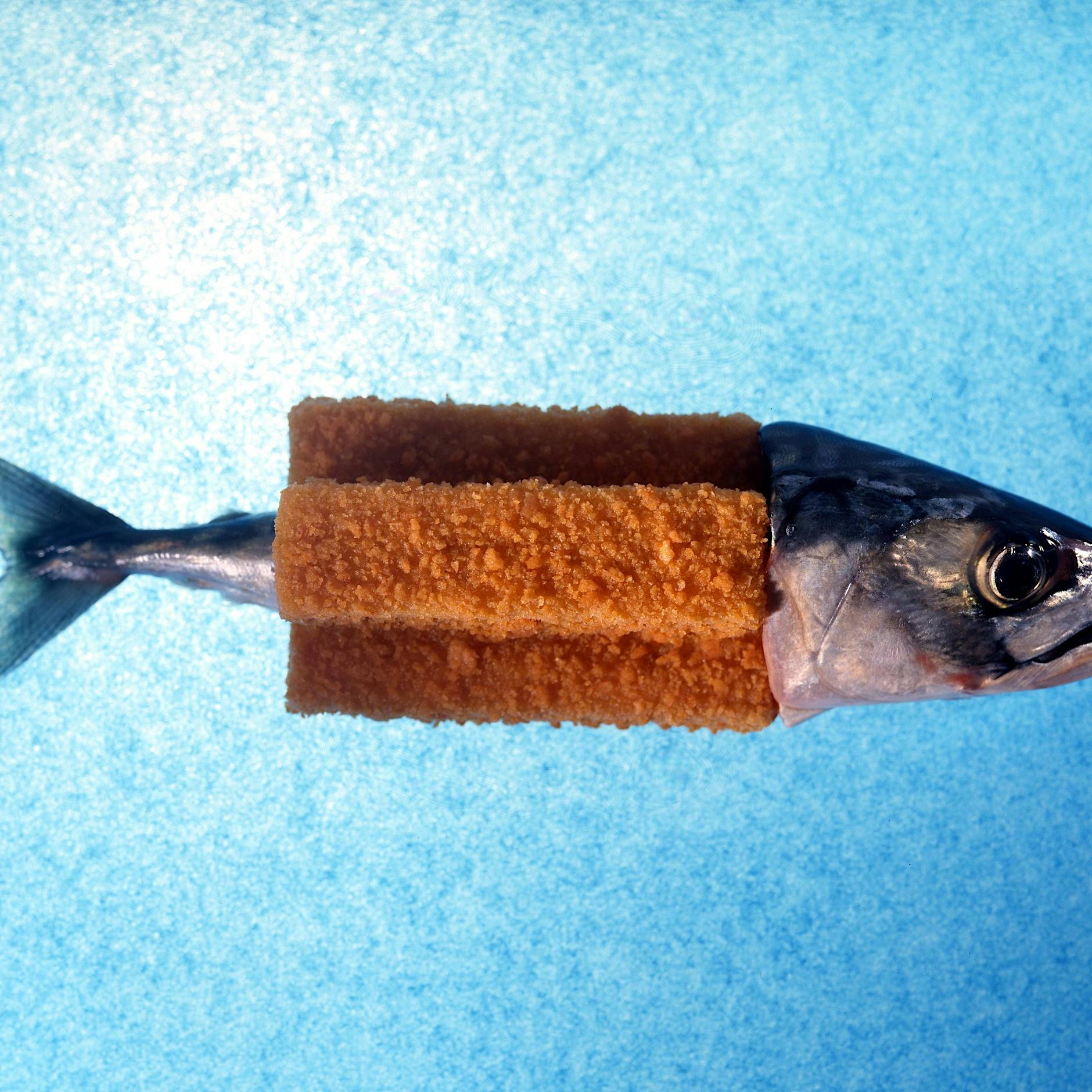 Wie können 20.000 Fische einfach so verschwinden? Die Tierpolizei ermittelt