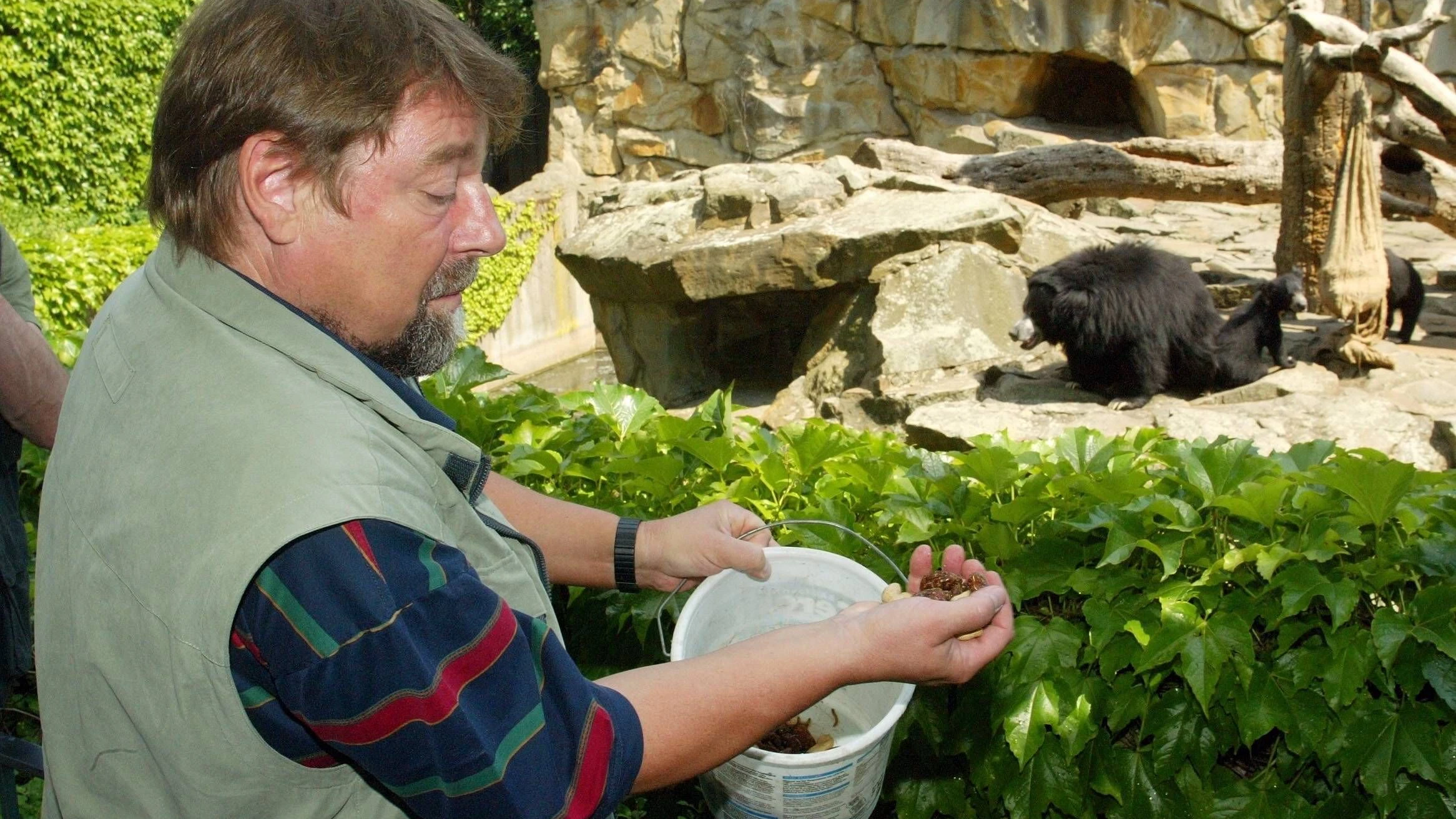 Jürgen von der Lippe füttert im Berliner Zoo sein Patentier – einen Lippenbären.