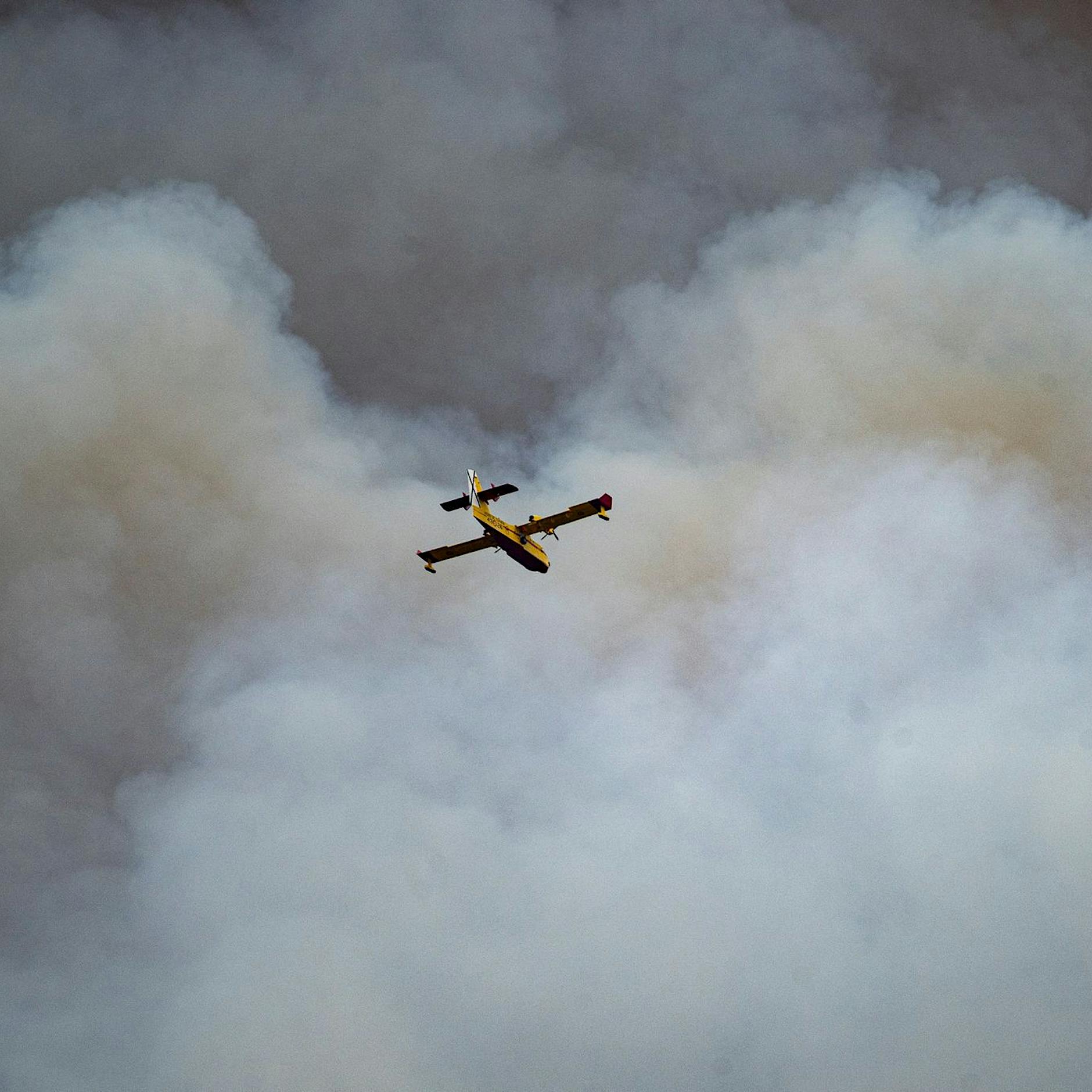 Copernicus: Waldbrände auf Nordhalbkugel außergewöhnlich
