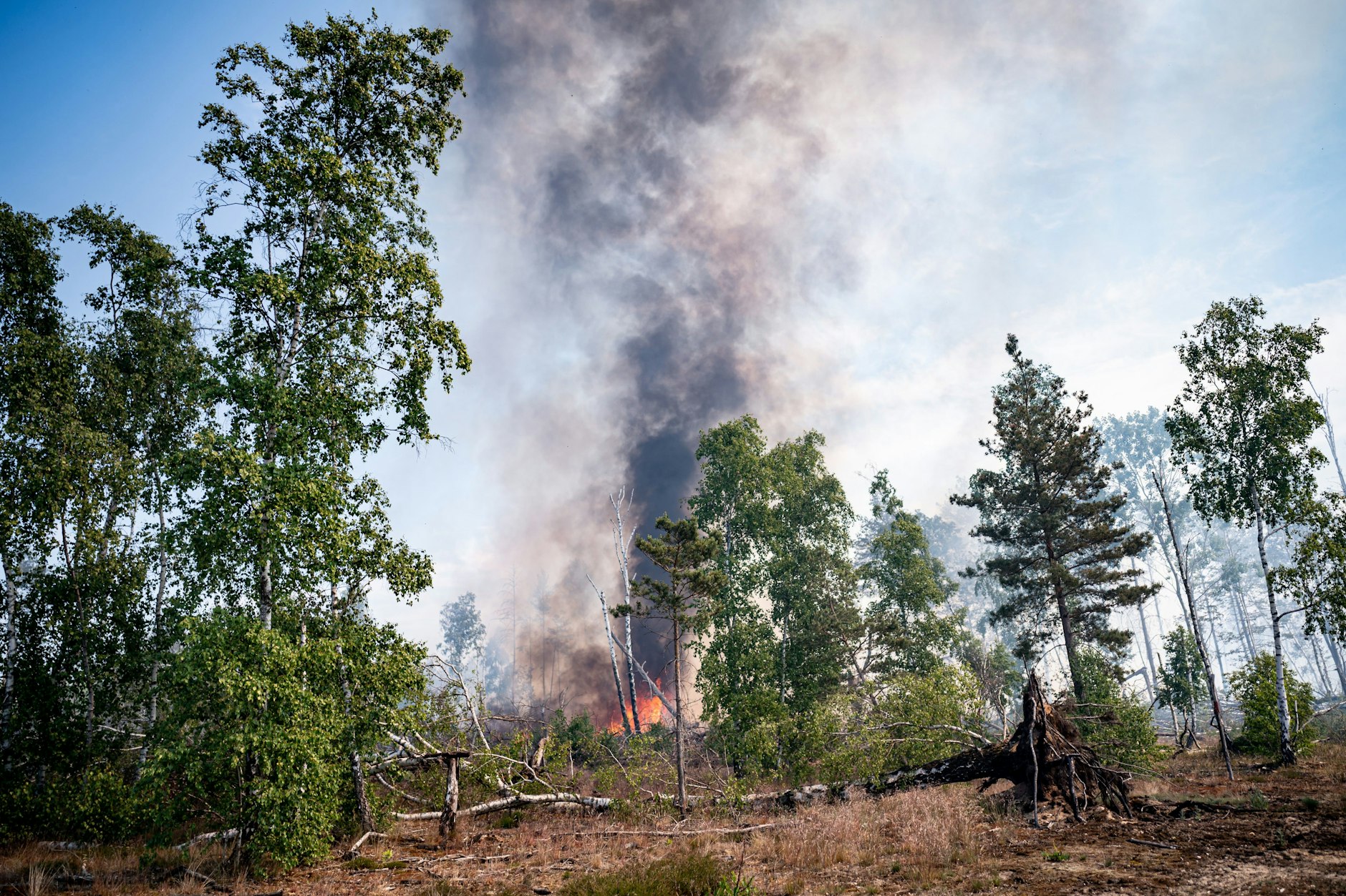 Flammen schlagen in einem Waldstück nahe Jüterbog in die Höhe. Auffrischender Wind hat den Waldbrand in einem mit Munition belasteten Waldgebiet südlich von Berlin angefacht und die betroffene Fläche auf 326 Hektar mehr als verdoppelt.