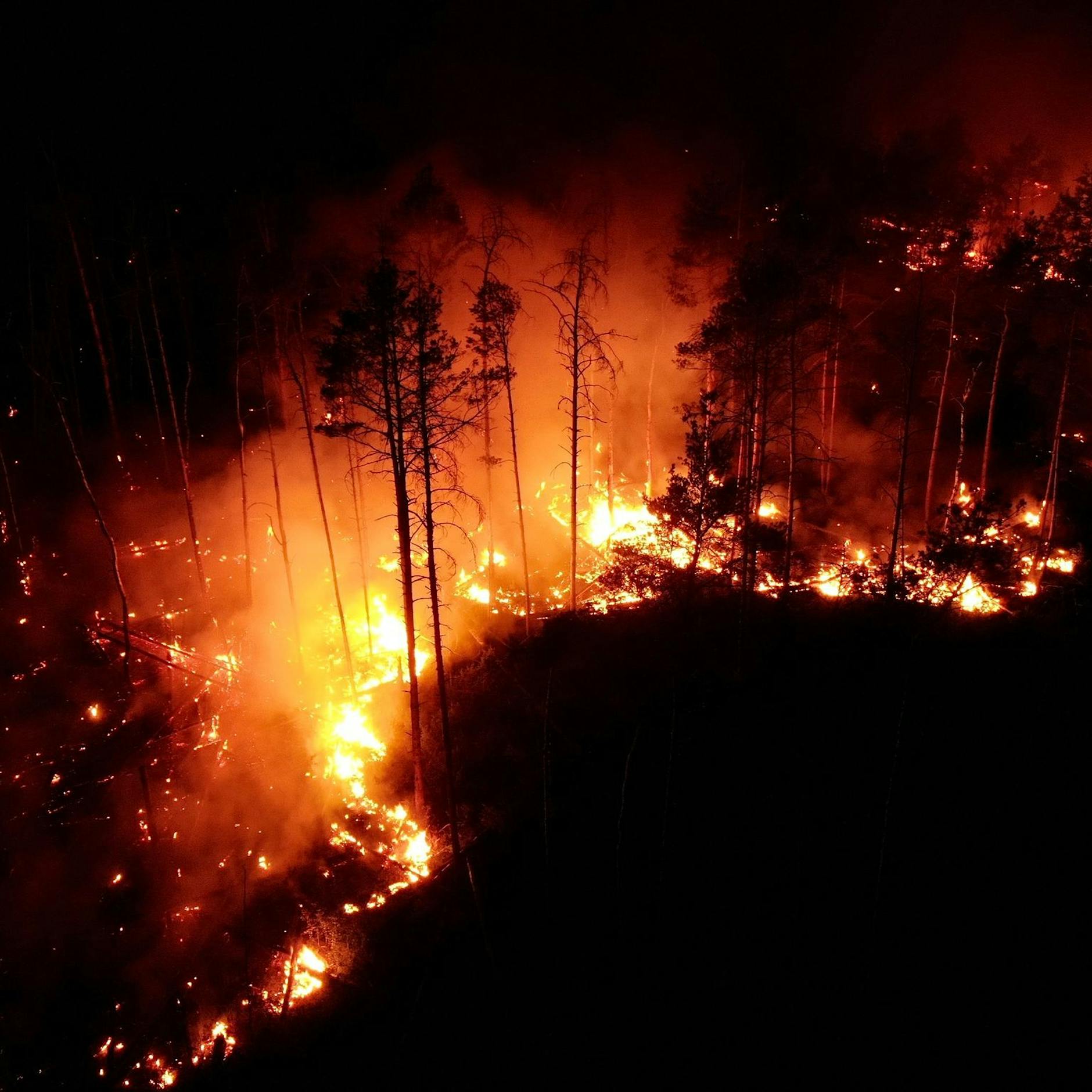 Waldbrand bei Jüterbog: Flammen breiten sich aus, Munition explodiert