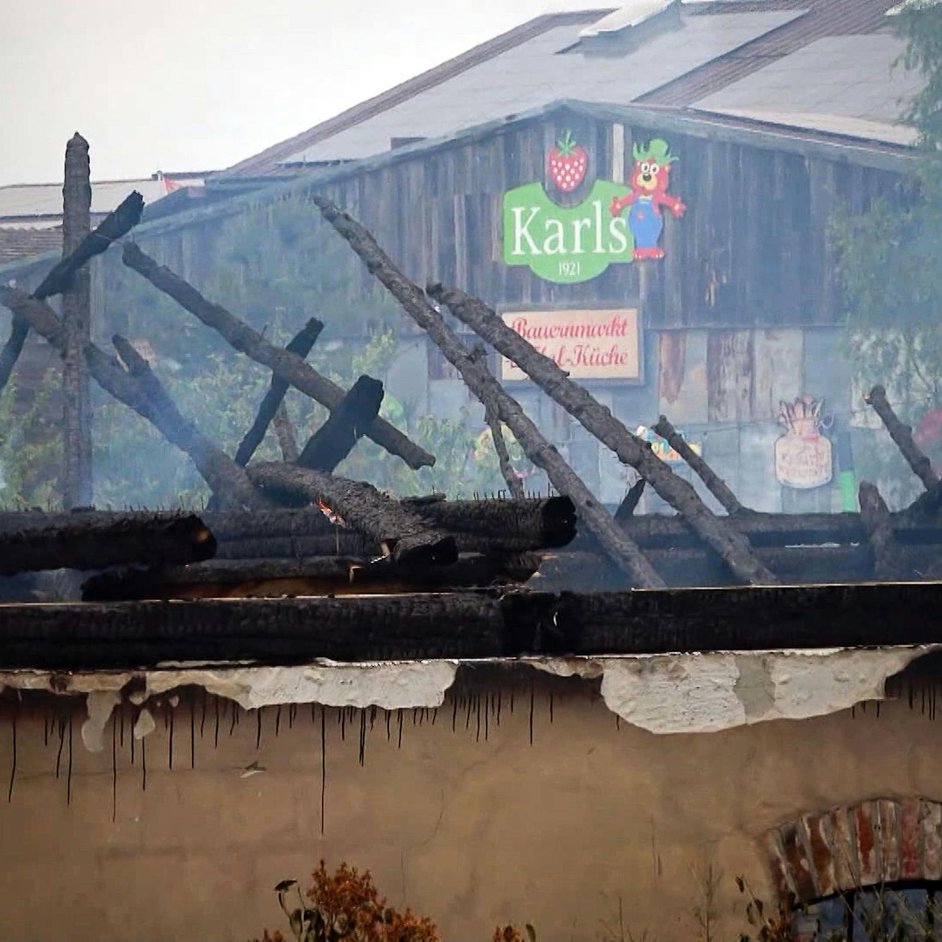 Brandenburg: Karls Erdbeerhof in Elstal hat nach Brand wieder geöffnet