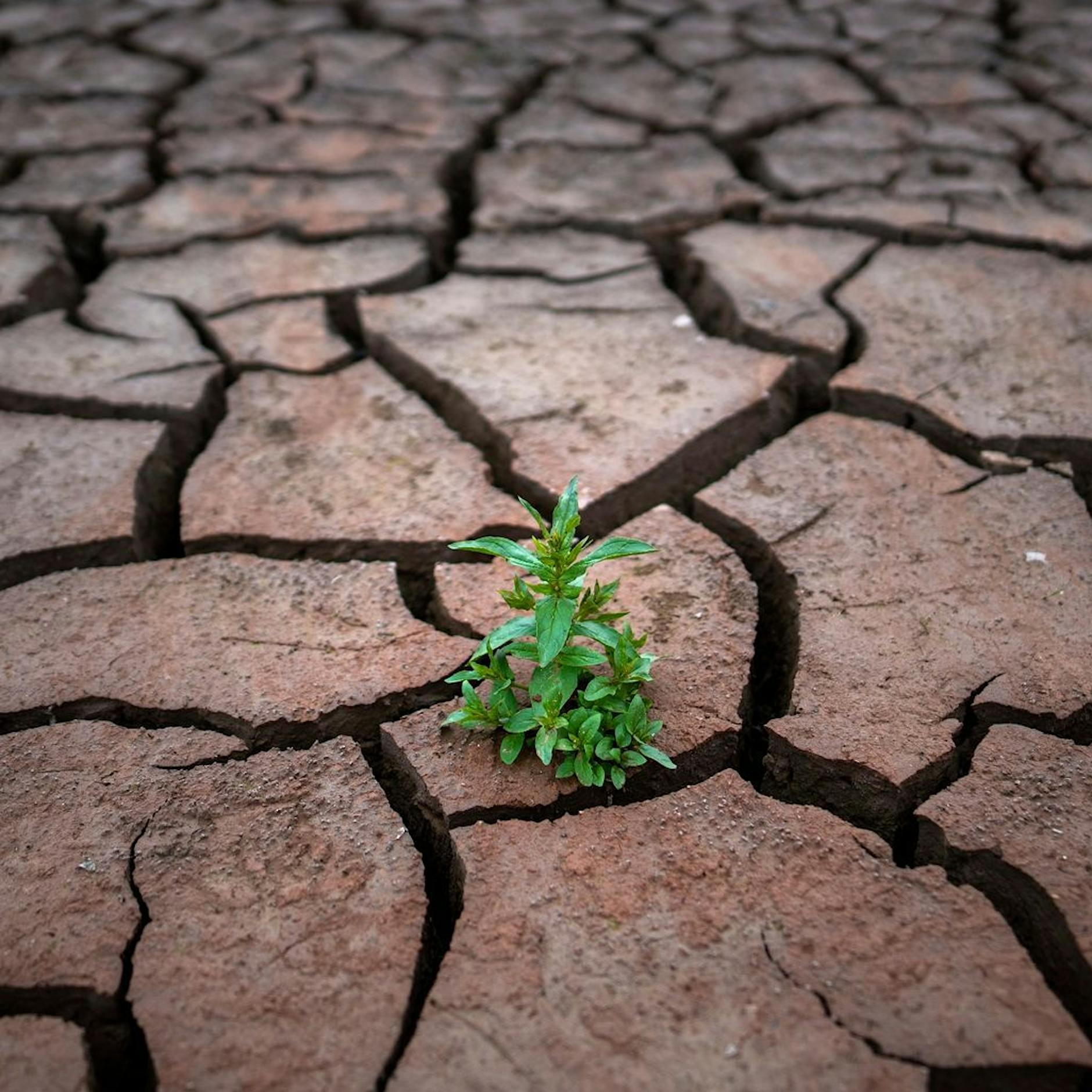 Wetter-Schockprognose, Jorges Knutsch-Geheimnis, Wildpinkler-Strafen!