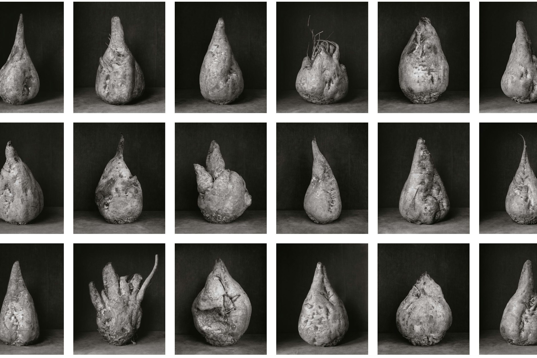 Das Plakat zur „Rübenkampagne“ von Ingar Krauss (Ausschnitt)