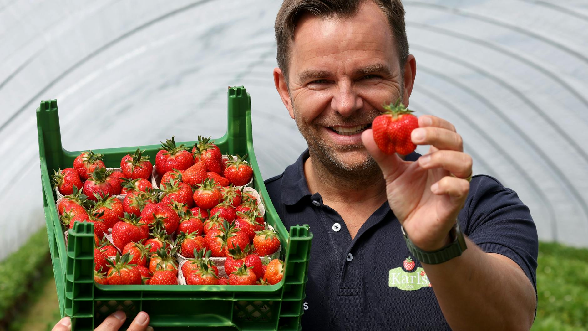 Mitten in der Erdbeerernte-Zeit schockt ein Brand bei Karls. Doch den Optimismus lässt sich Robert Dahl nicht verderben. 