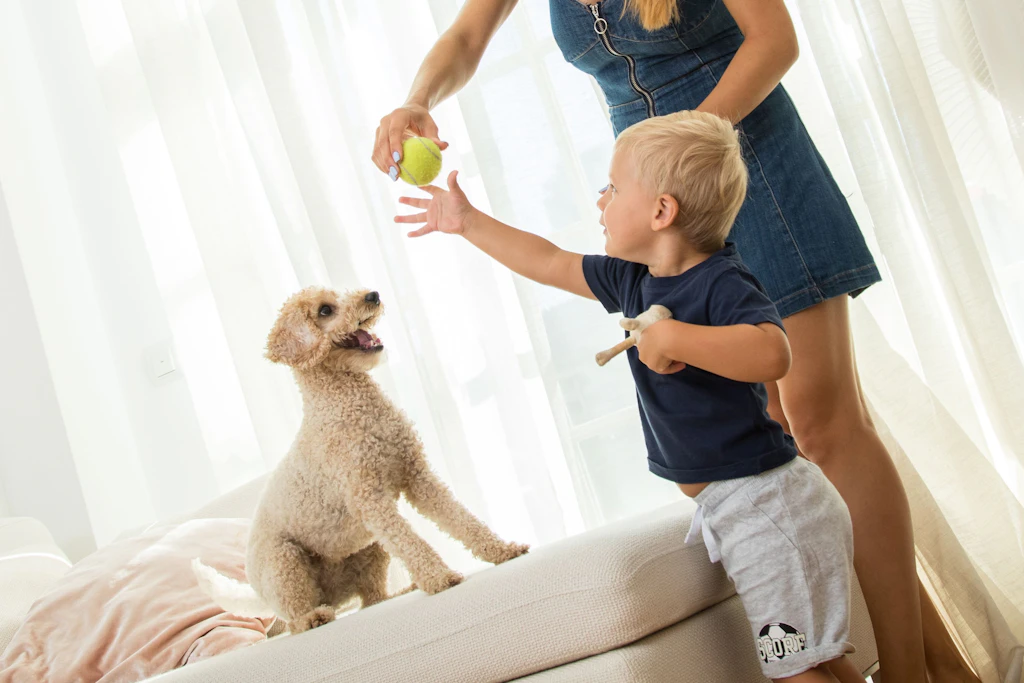 Hund, Katze, Hamster: Welcher tierische Kumpel passt zu meinem Kind?