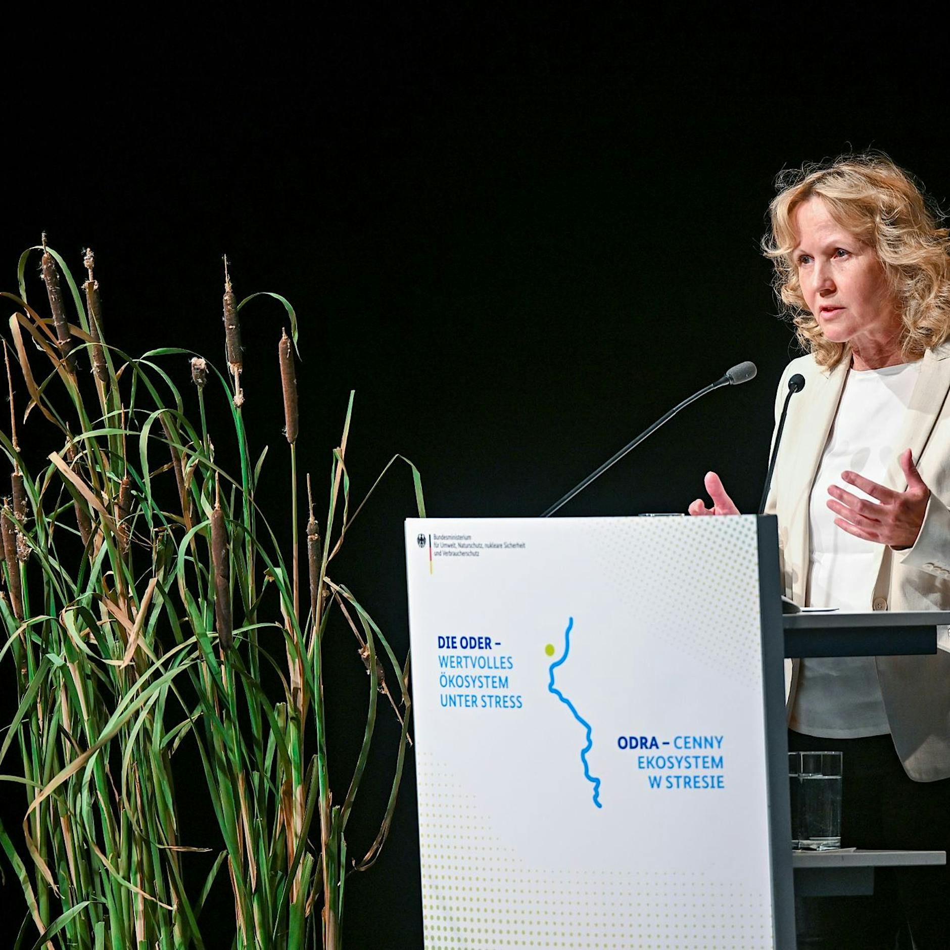 Debatte auf Oder-Konferenz zwischen Deutschland und Polen