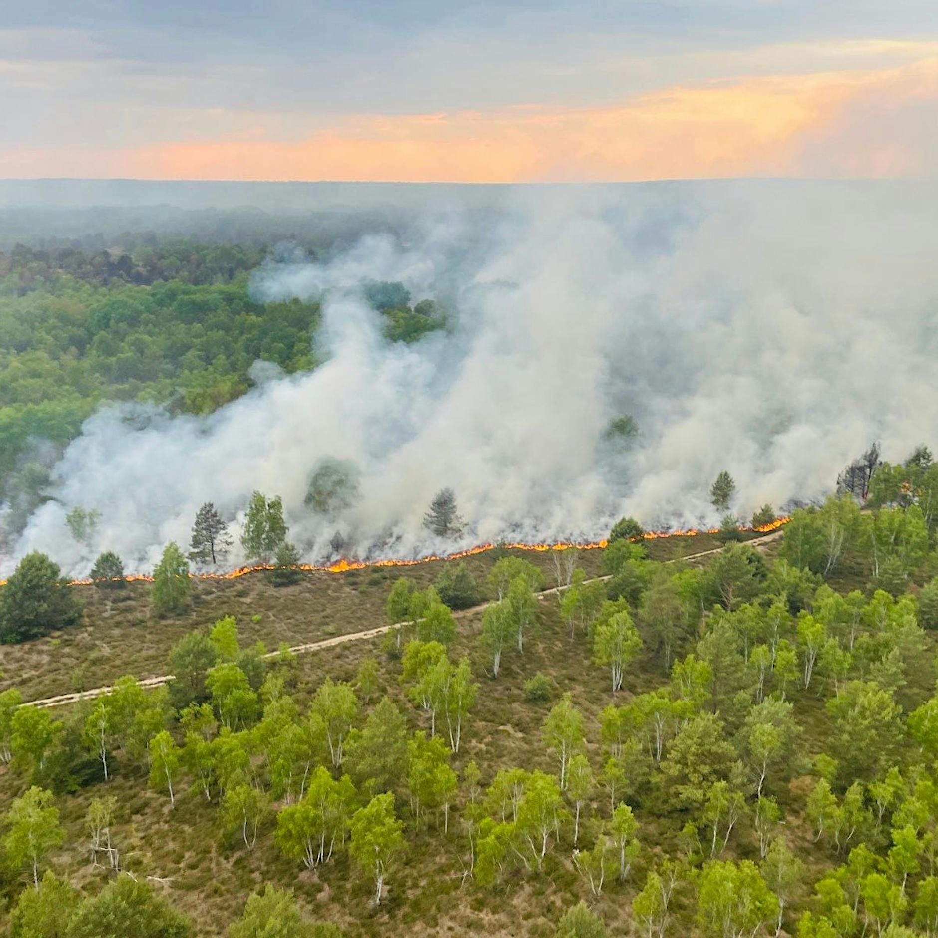 Waldbrand-Fläche verdoppelt: Feuerwehr kämpft gegen Flammen bei Jüterbog