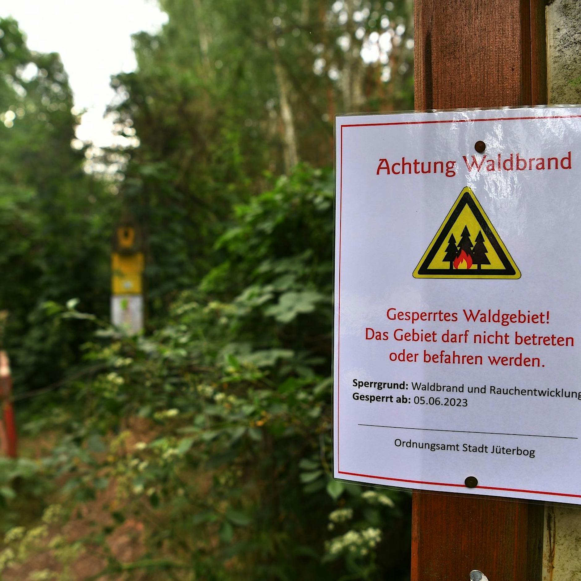 Schwierige Ursachensuche bei Waldbränden