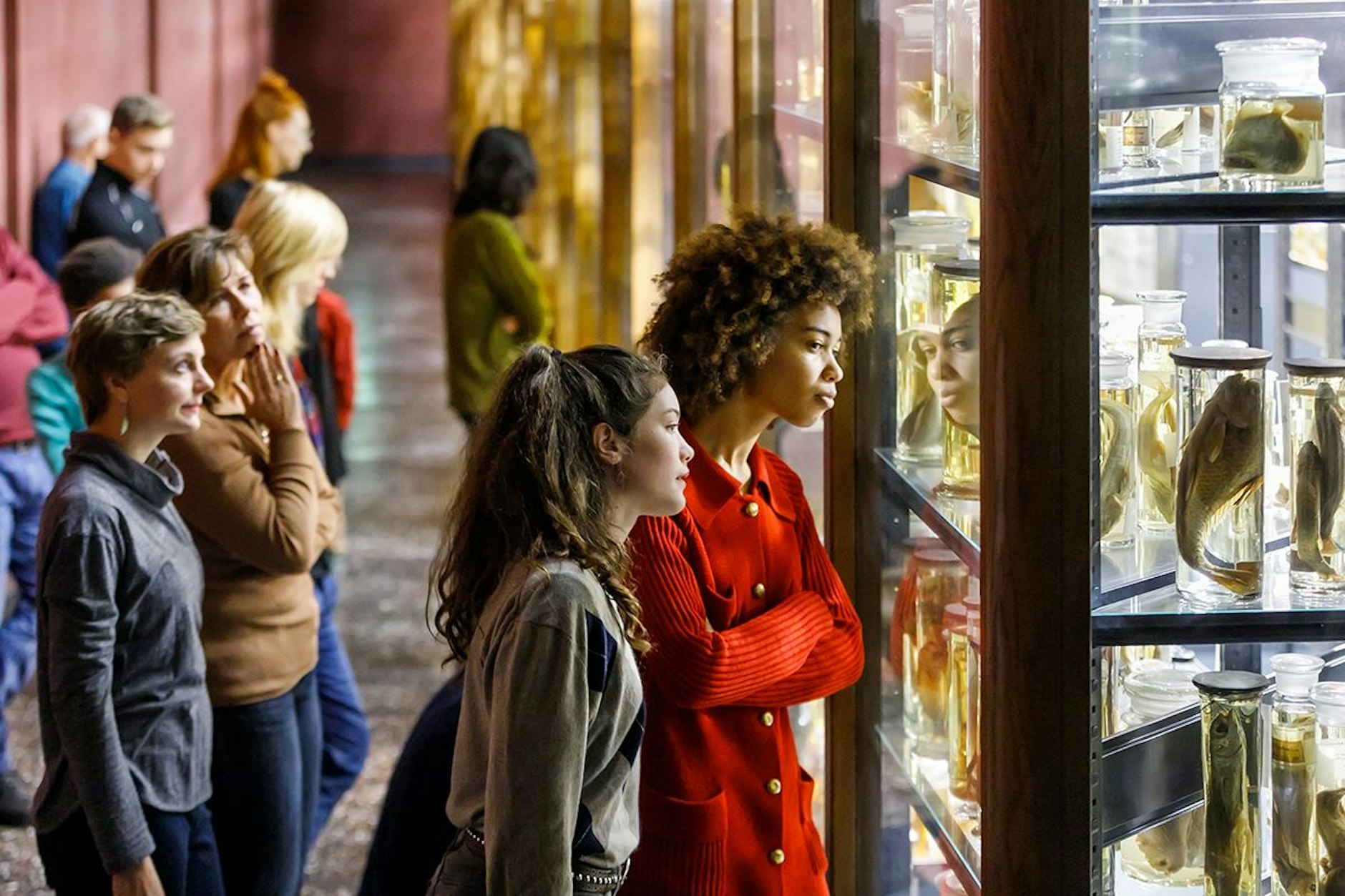 Auch das Museum für Naturkunde lädt wieder zur Langen Nacht der Wissenschaften.