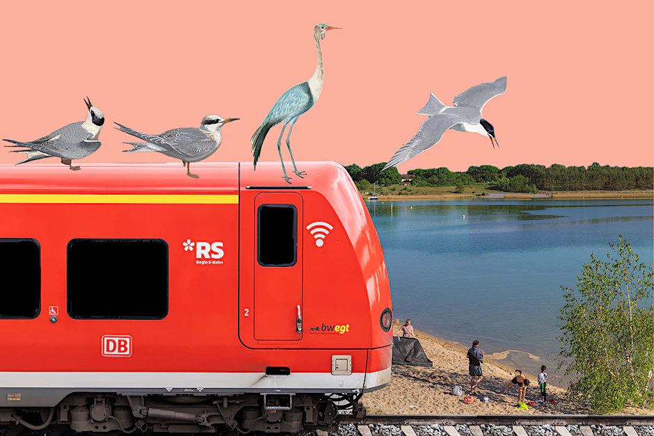An diesem Wochenende können Sie das Deutschlandticket und einen Badeausflug super kombinieren.