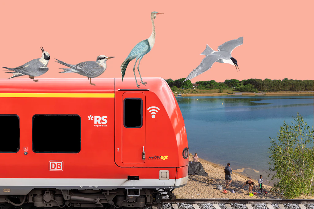 Badeparadies Brandenburg: Fünf schöne Seen, die Sie mit dem Deutschlandticket erreichen