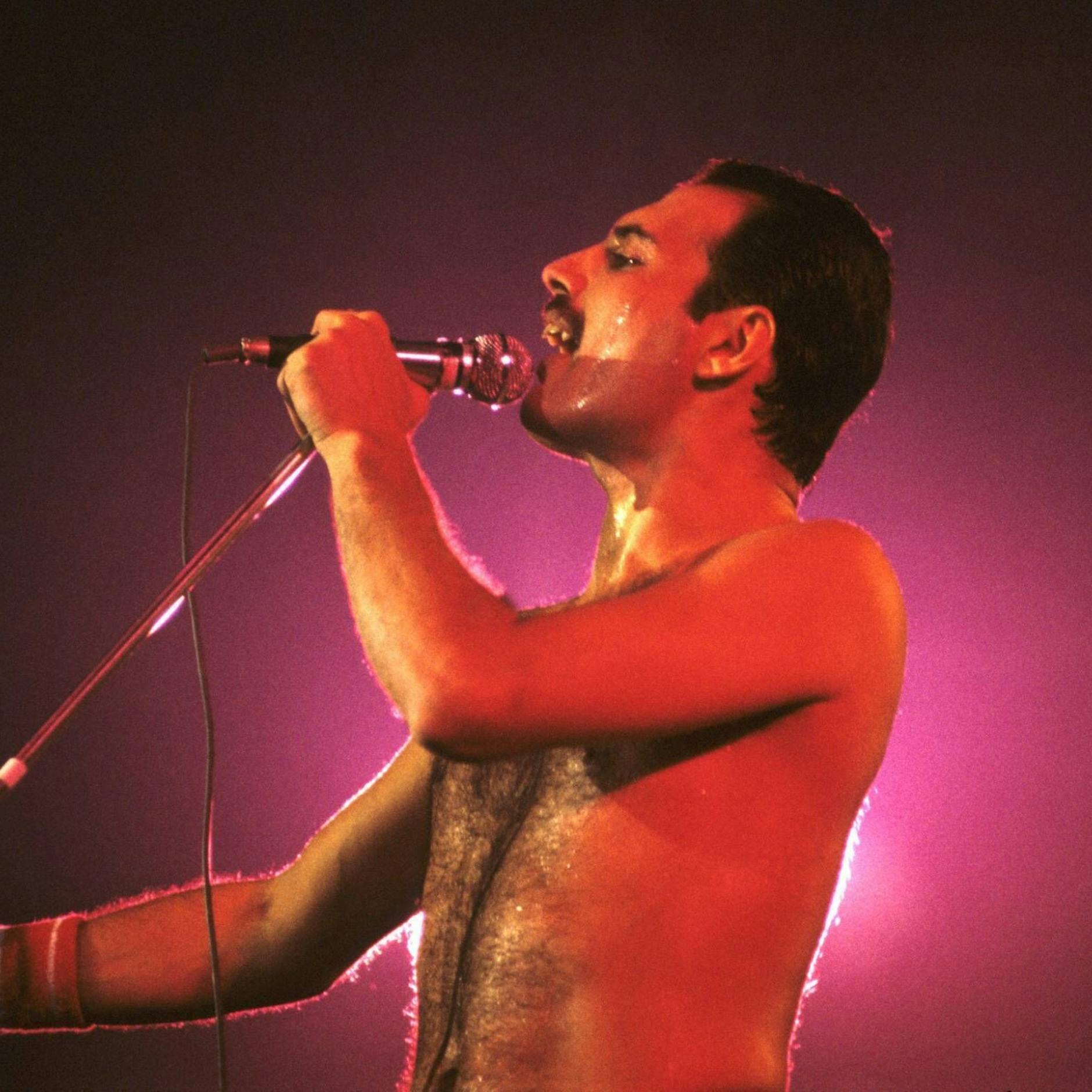 Image - Originaltext von Queen wird versteigert: „Mongolian“ statt „Bohemian“ Rhapsody