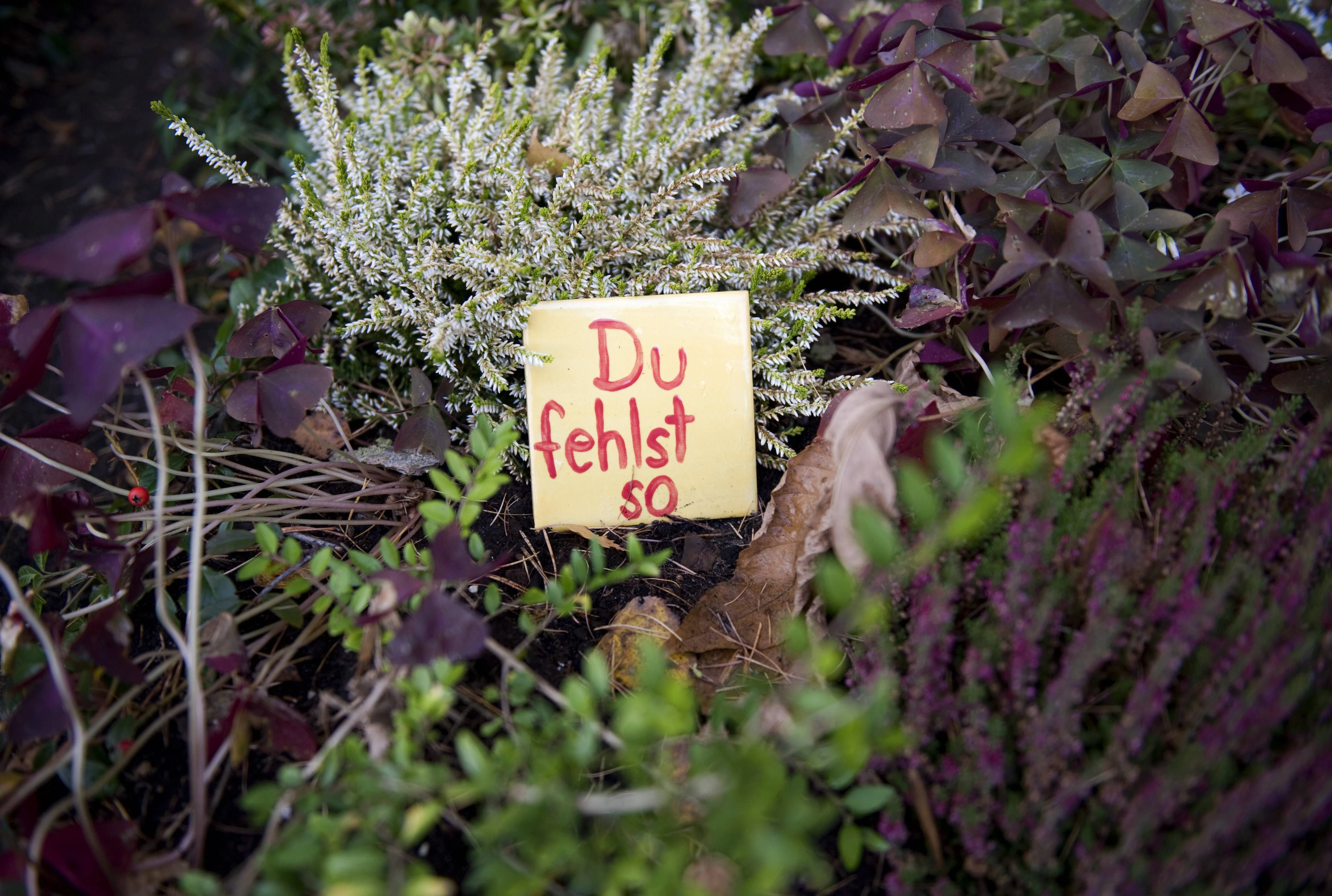 Übersterblichkeit in Zahlen