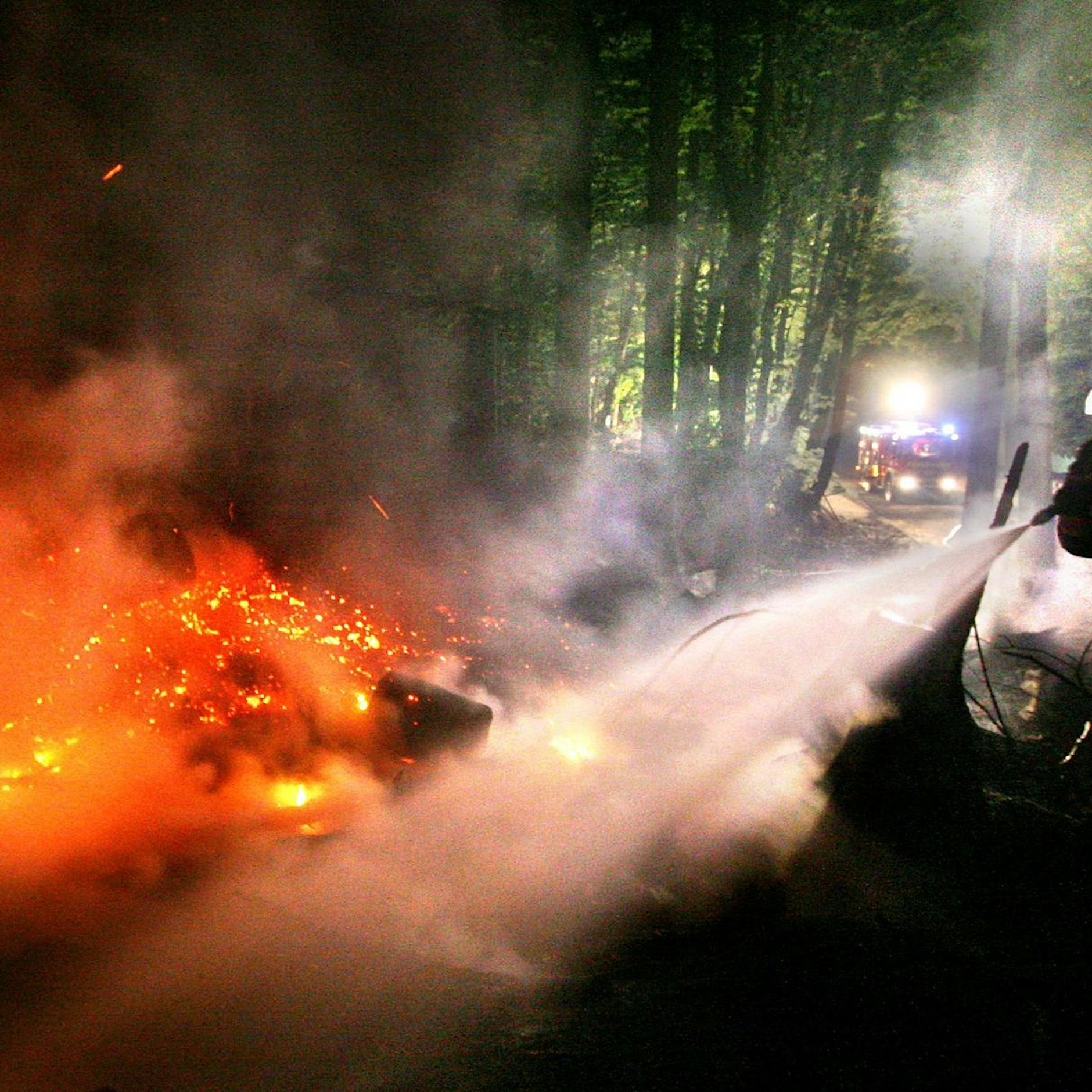 Waldbrandgefahr und trockene Böden: Was sind die Folgen?